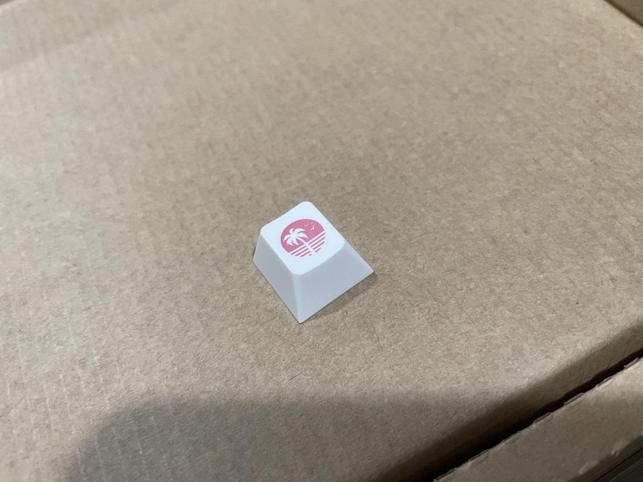 ePBT Aesthetic | Shipping To Vendors image 35