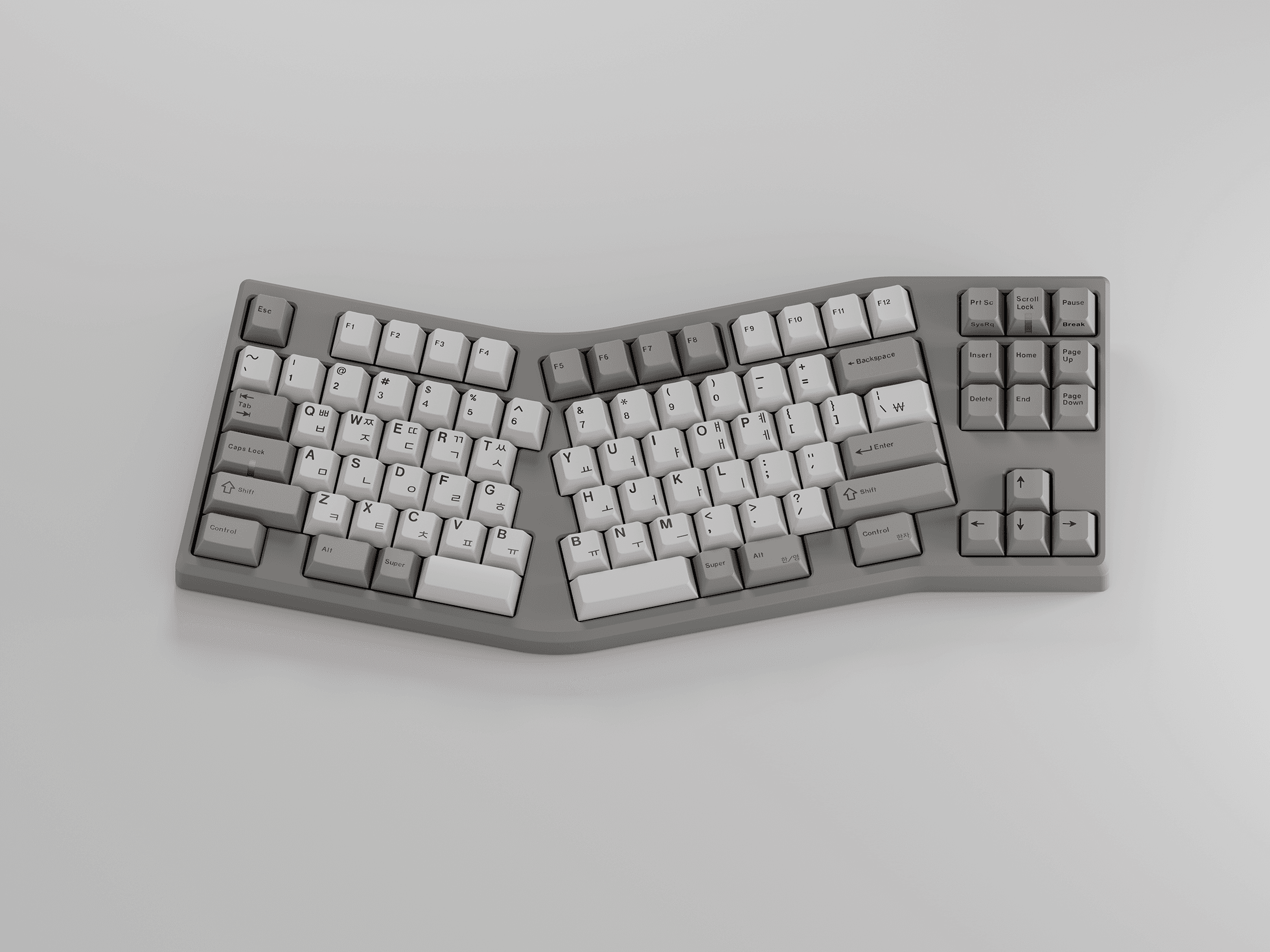 GMK 3077 (Previously Brown on Beige) image 12