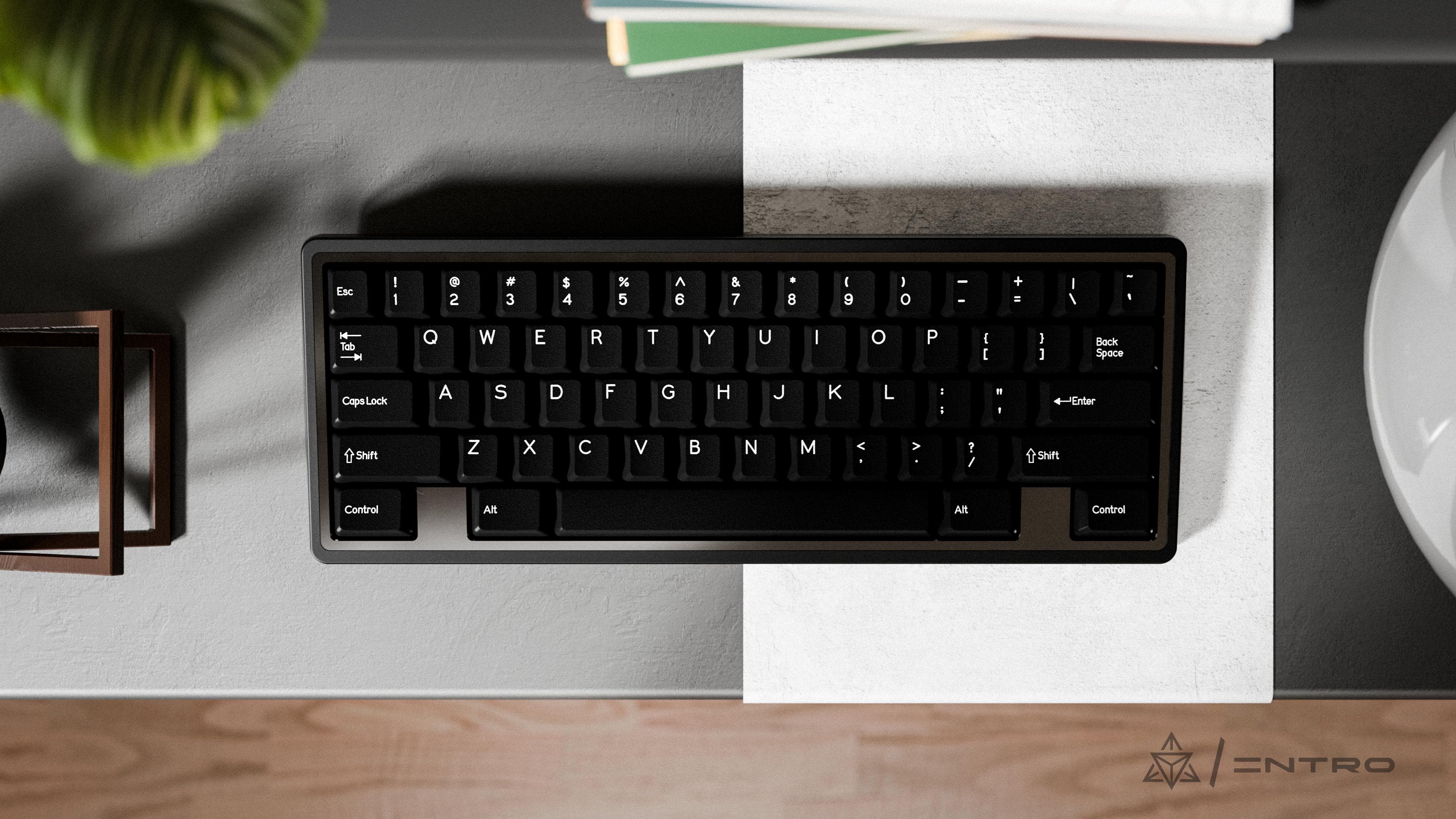 DCS INTRO WOB AND BEIGE image 5