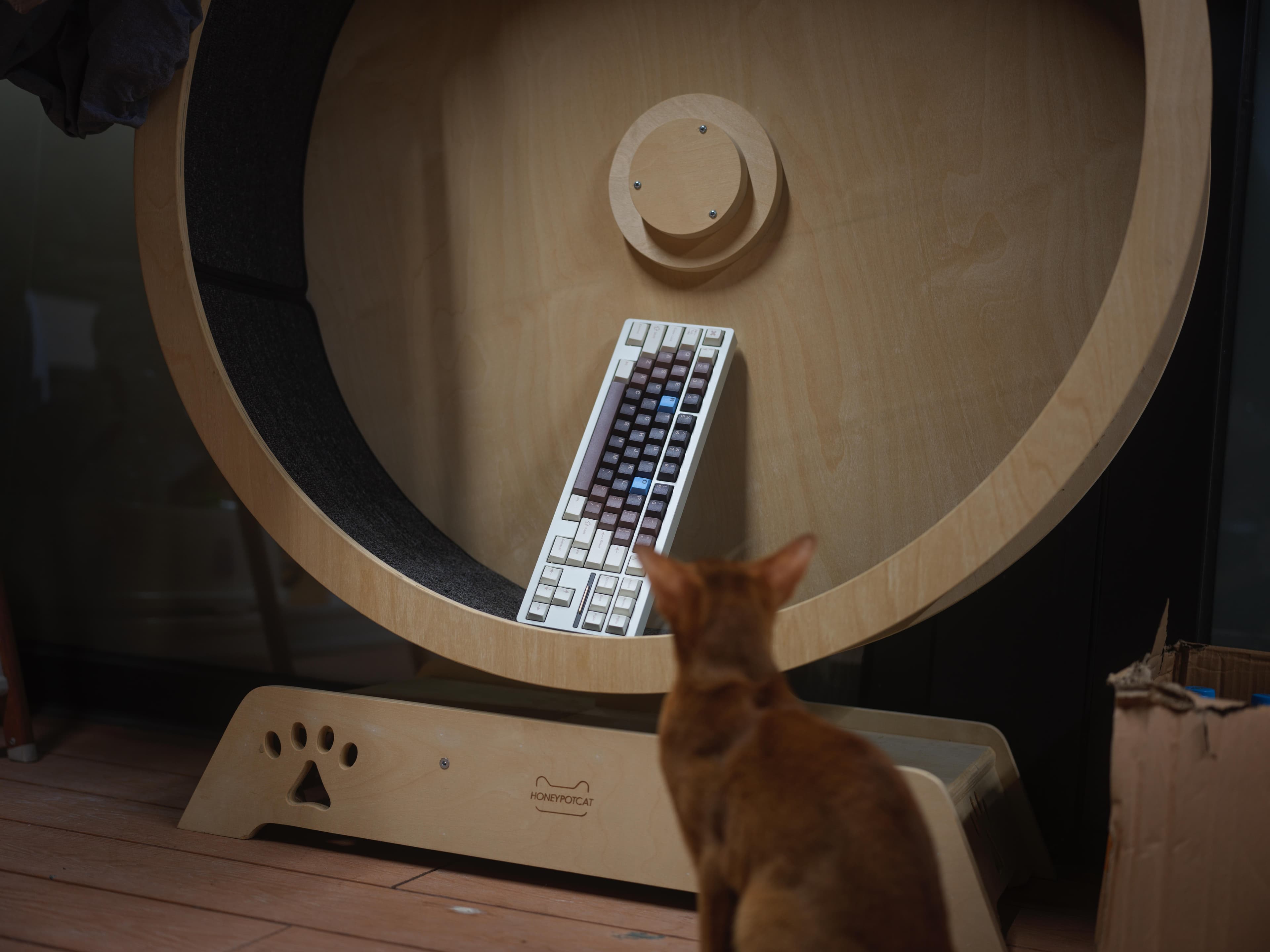 TUTKEYS Black Sugar Bobo Keycaps image 25