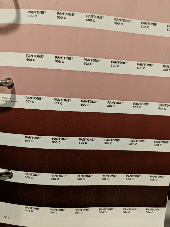 SA Royalty (shipping out now yall) image 8