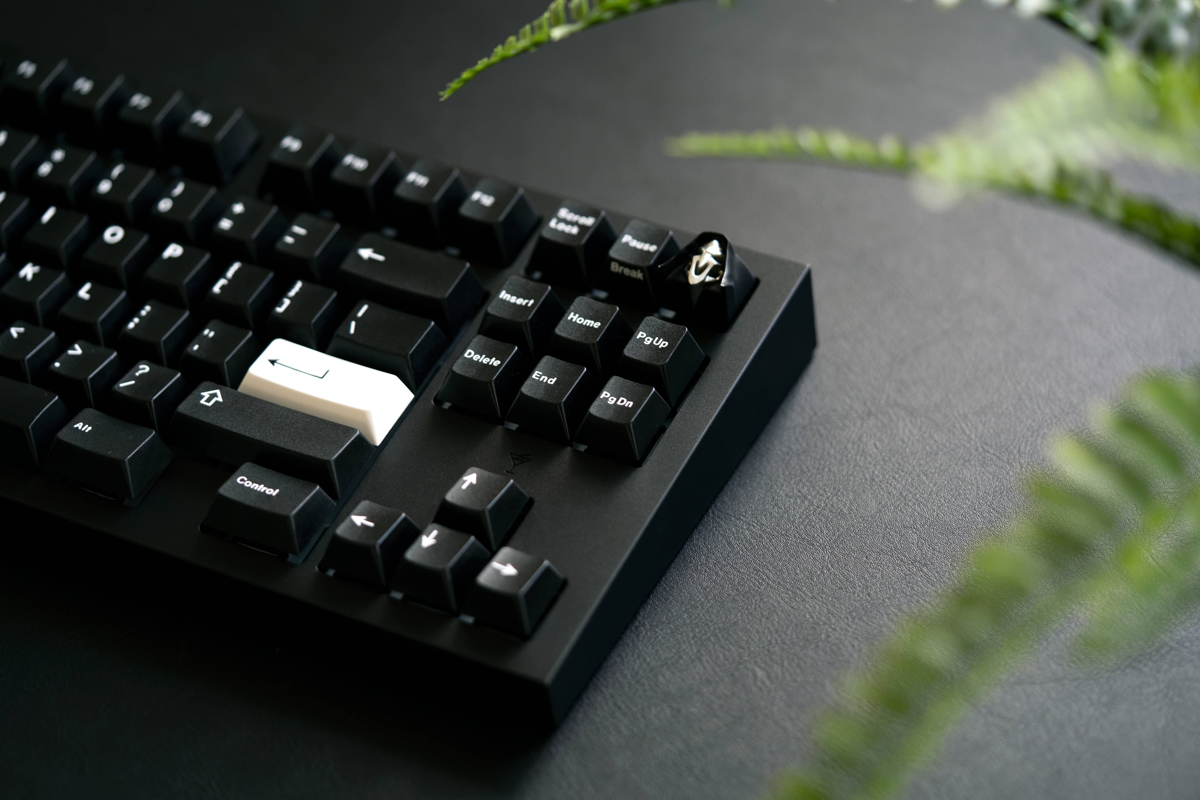 Classy TKL, February update (SHIPPING, 98% fulfilled) image 11