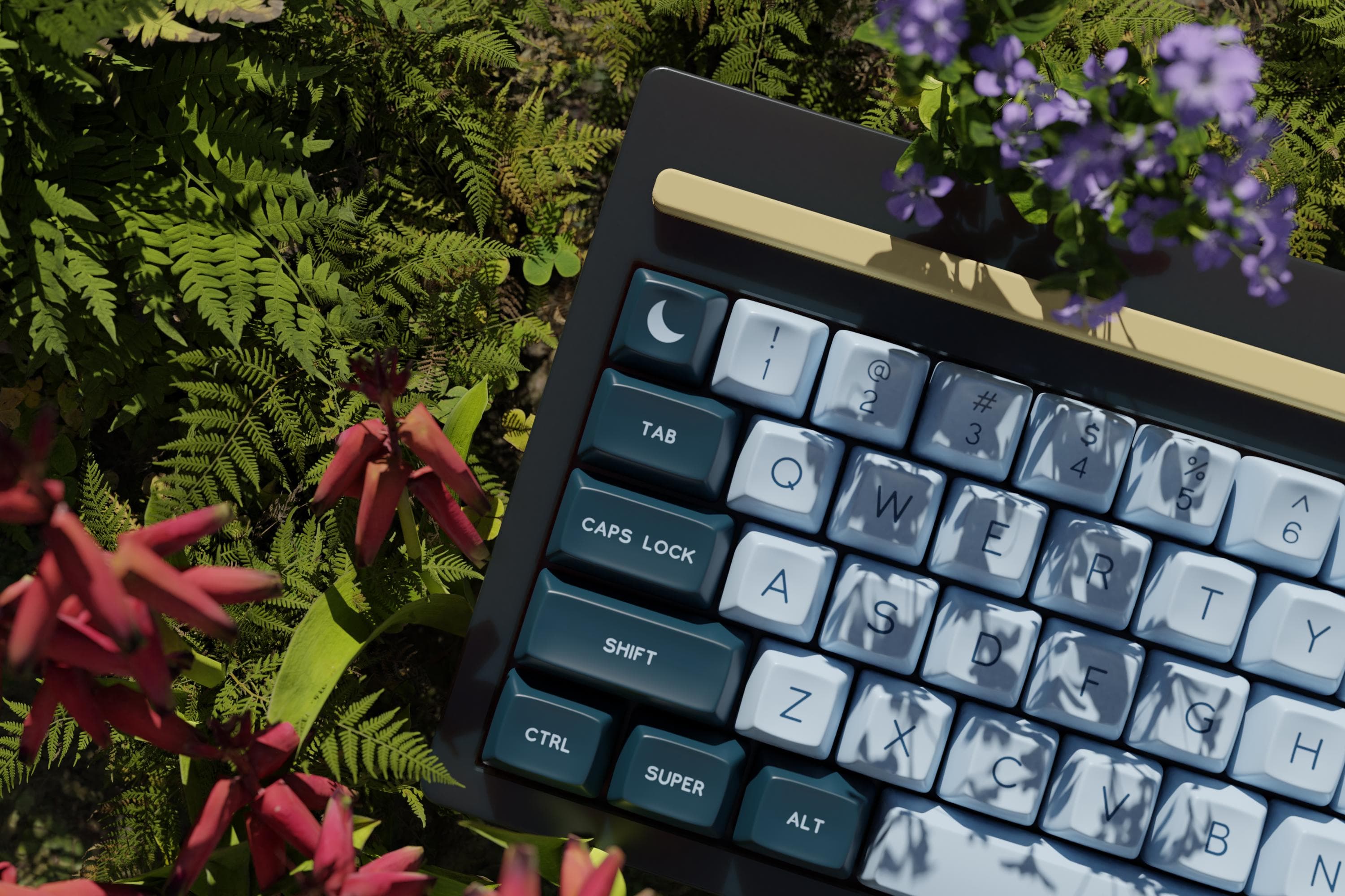 SA Nightlight | Shipping to US Customers via Kono! image 23