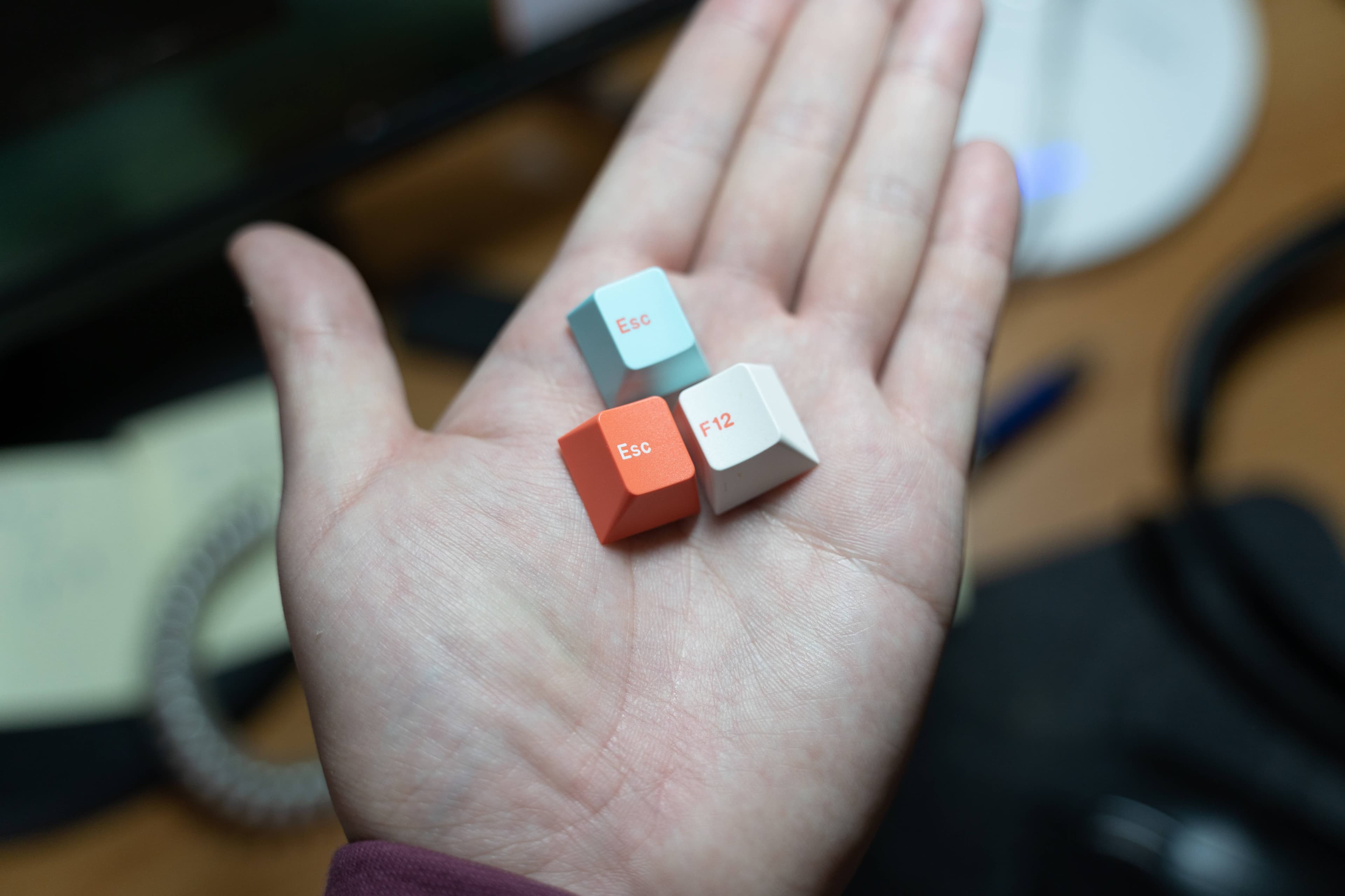 GMK Coral R2 - benefiting the Coral Reef Alliance (GB: 6/22 - 7/15) image 7