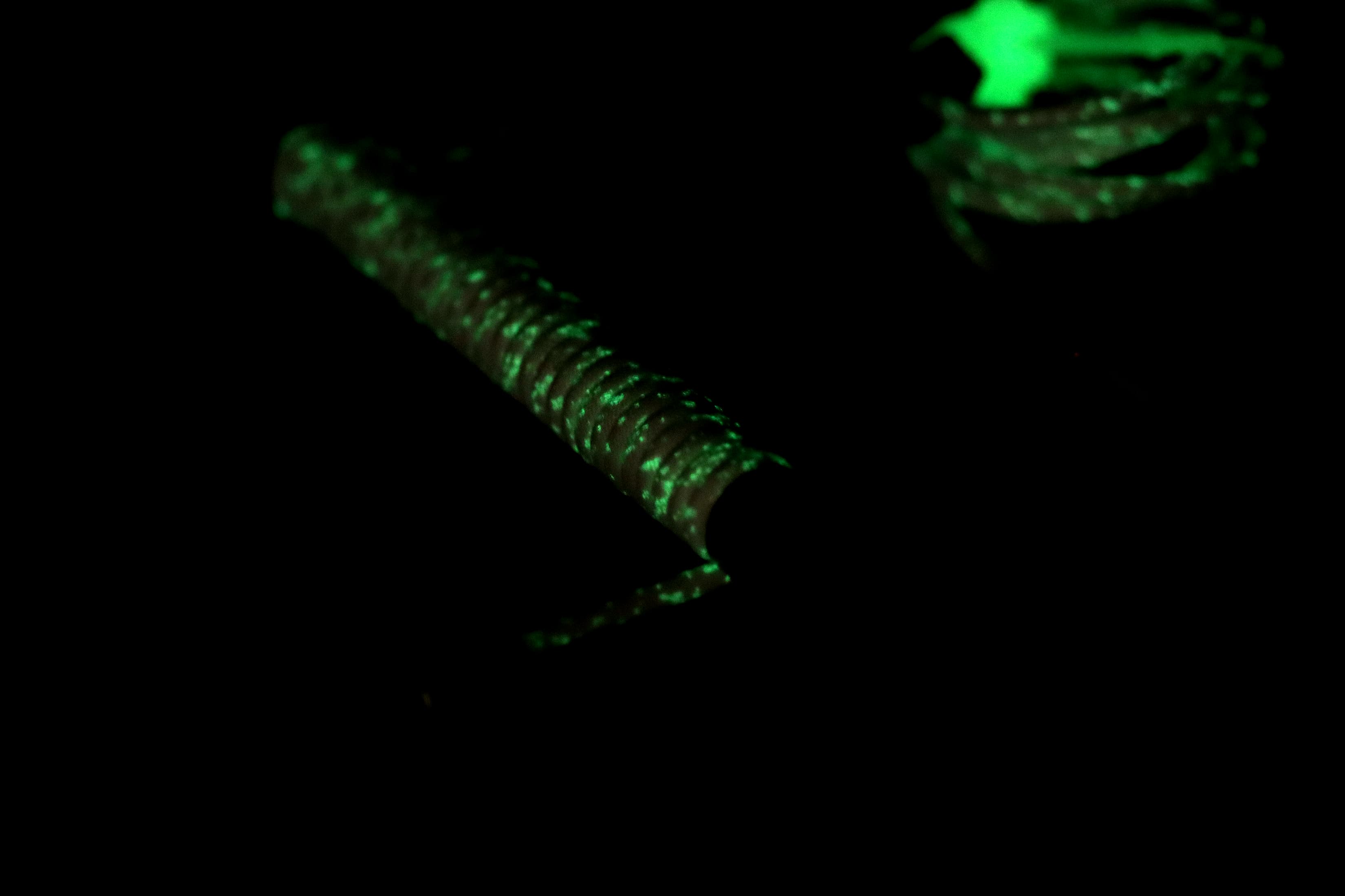 Domikey JADE image 17