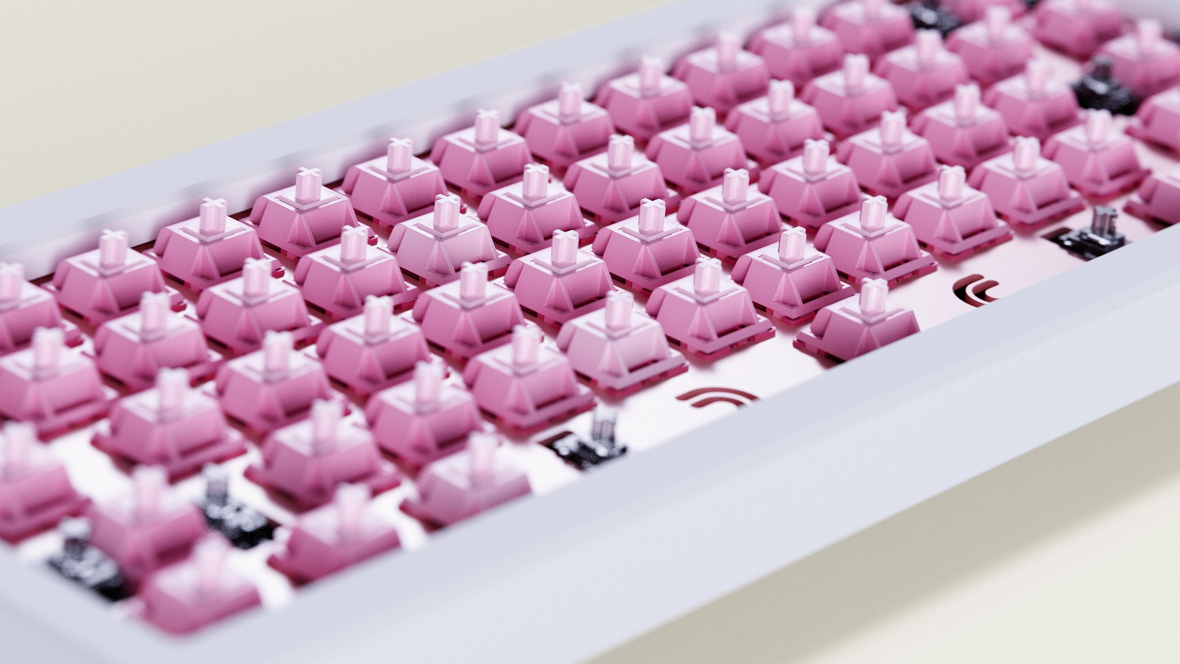 Blush Linear Switch | Shipping to vendors image 9