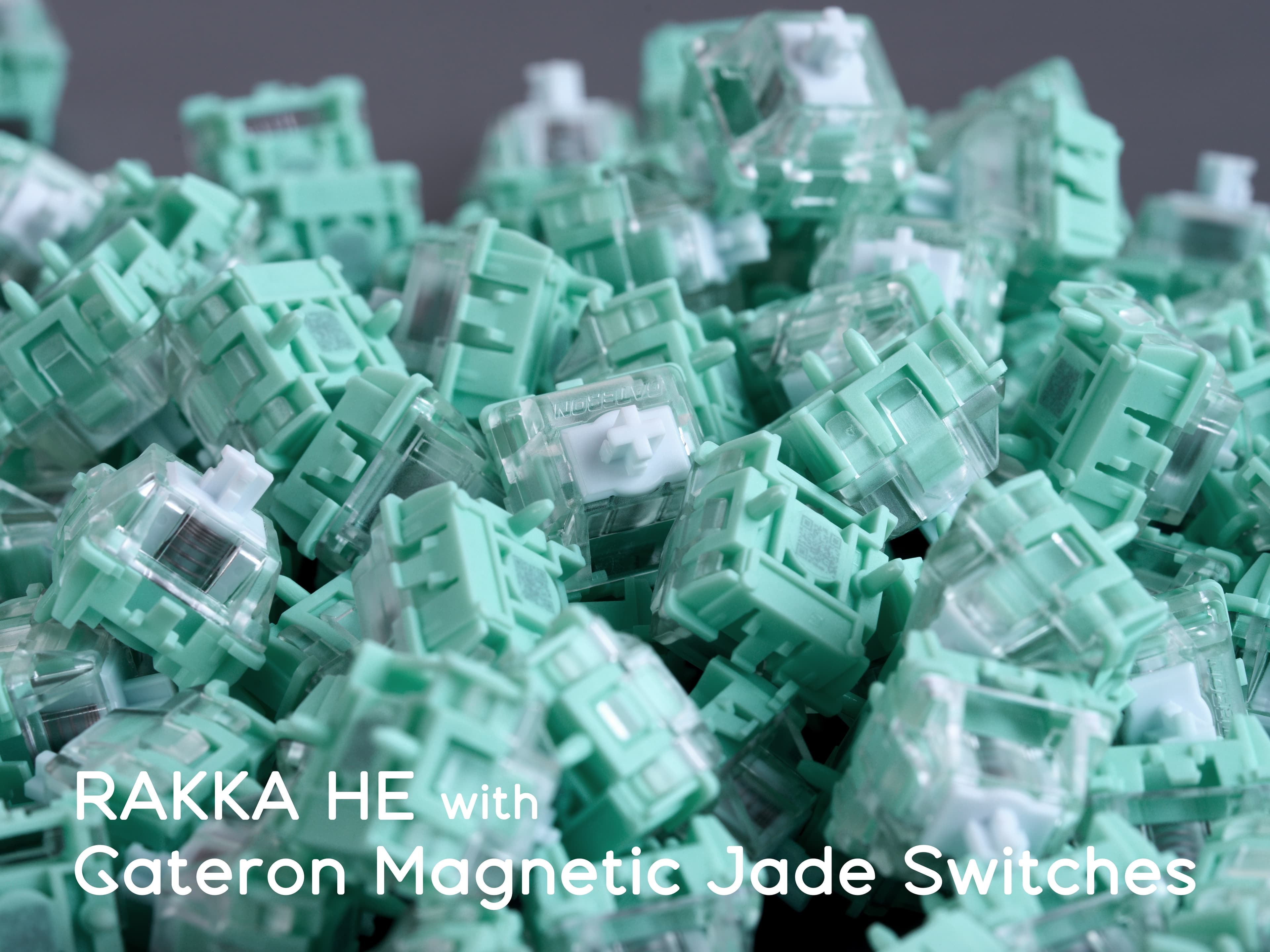 TKD Cycle8 TKL | GB from July 12 image 70