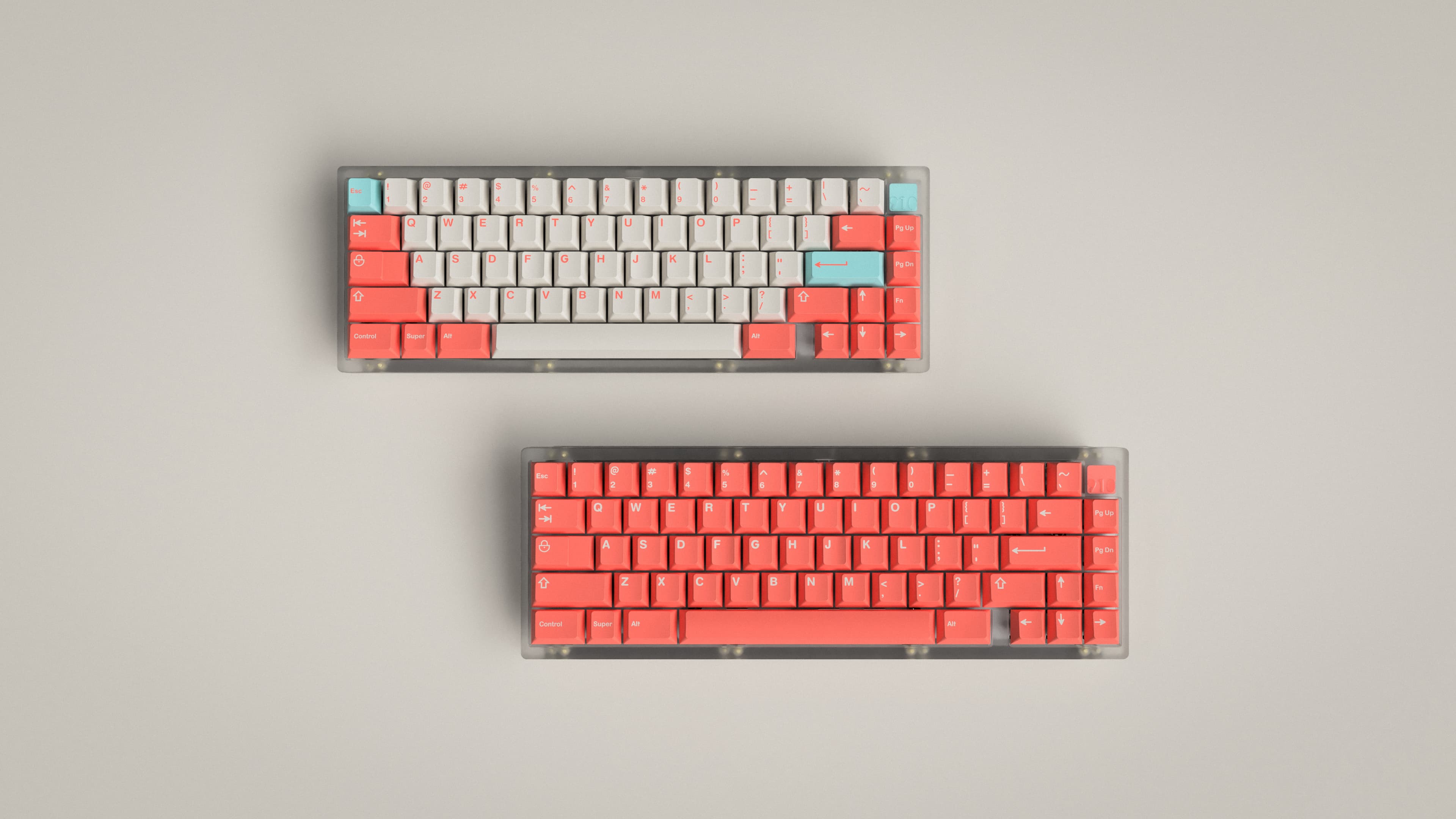 GMK Coral - $650 Donated to Coral Reef Alliance (Finished) image 24