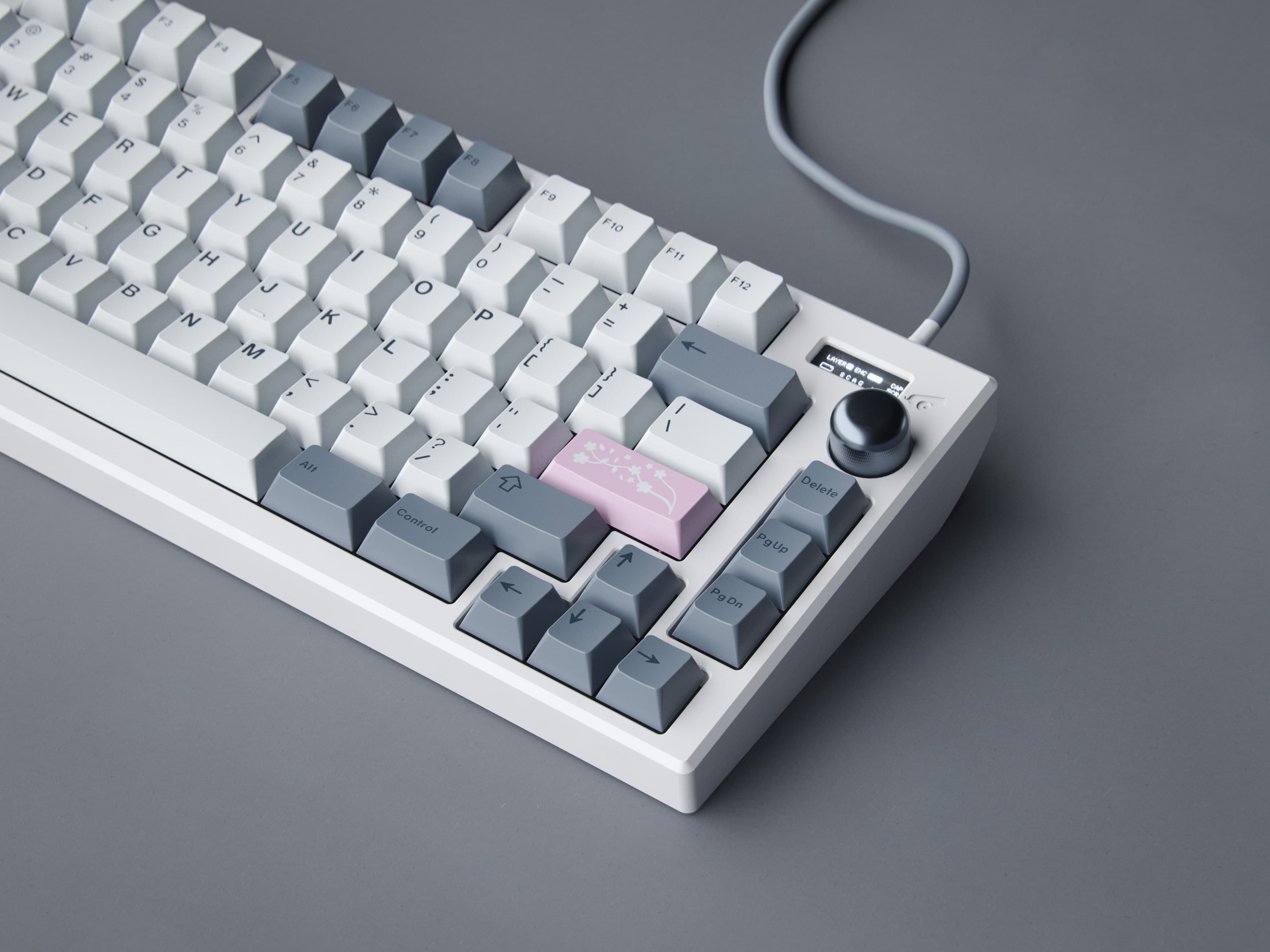 GMK Fuji | March 15th - April 15th image 22