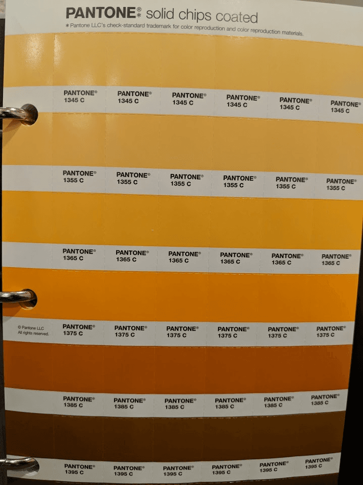 SA Royalty (shipping out now yall) image 5