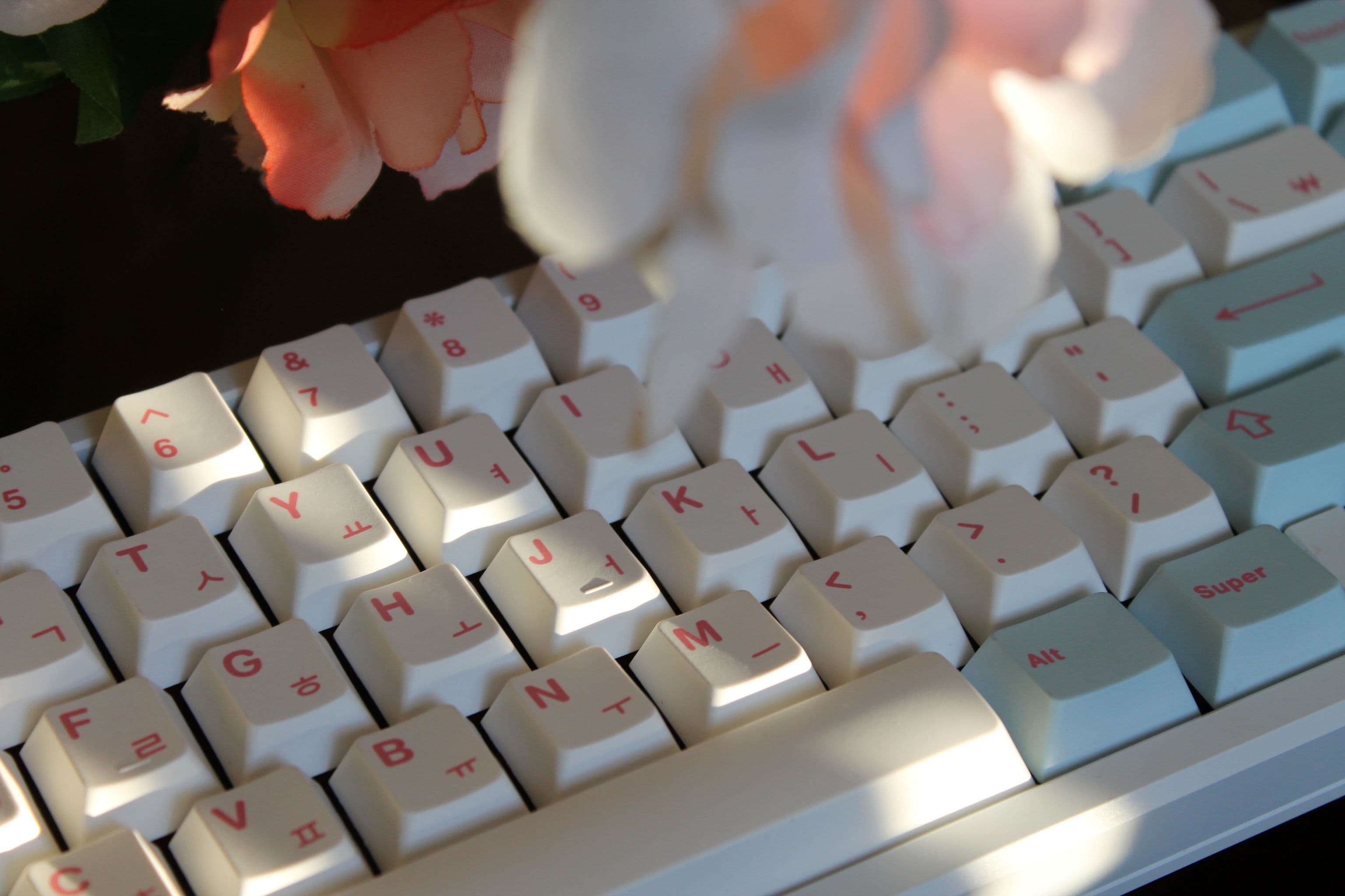 Milkyway Velvet Currently Live :] image 29