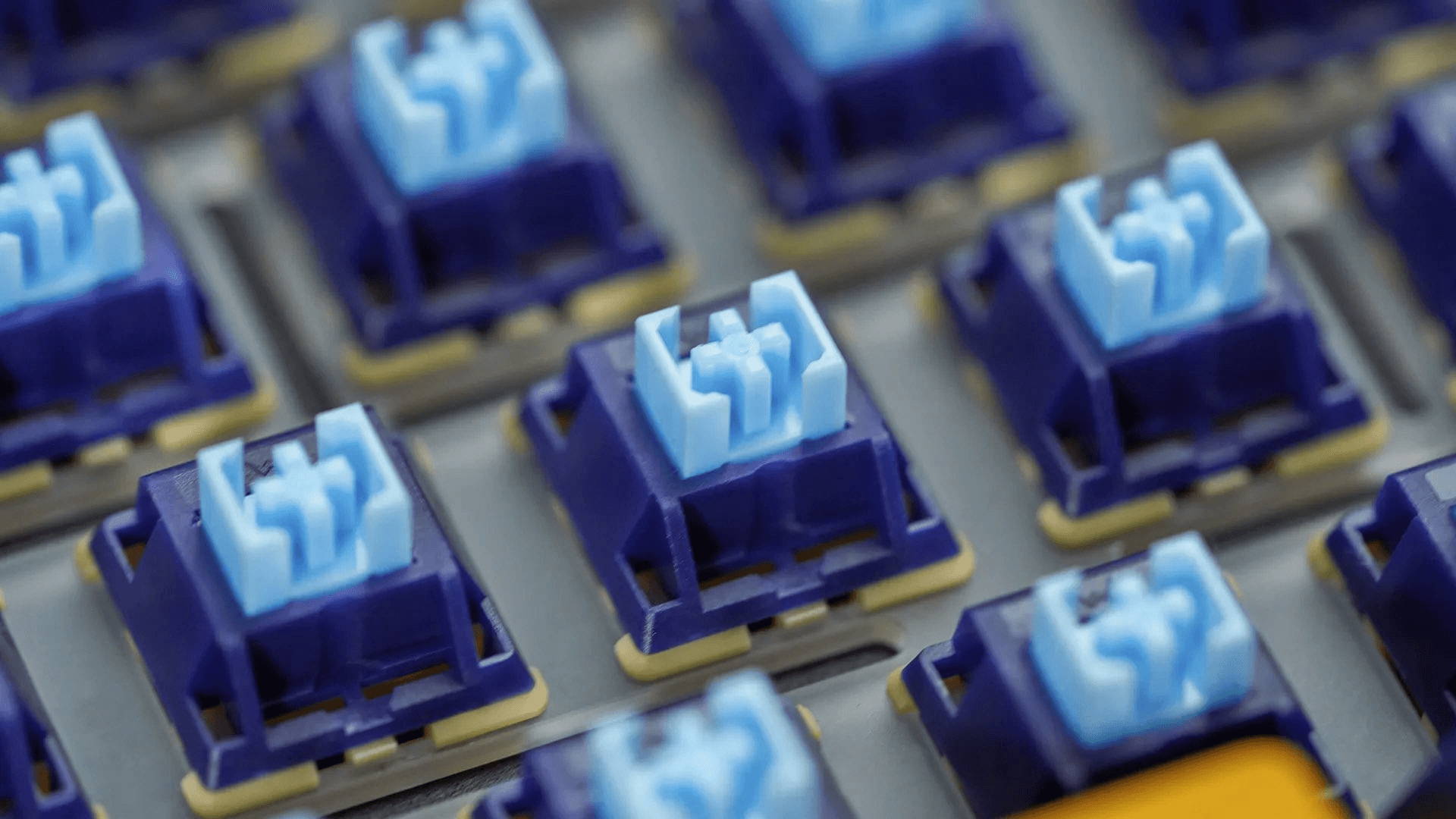 WS Stellar | Group Buy on 18th of April! image 20