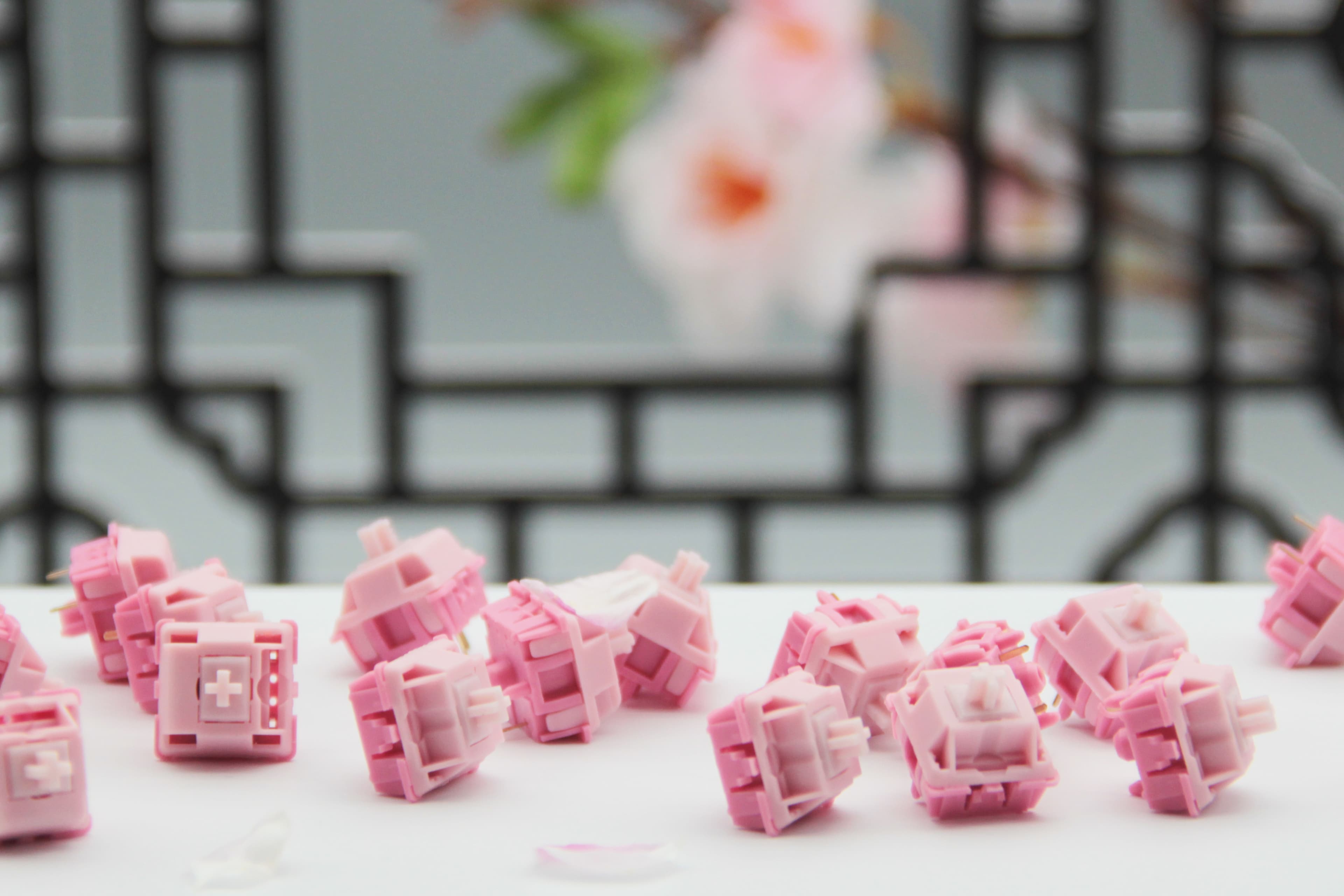 DesignerStudio TaoYao (Peach Bloom) Switches image 6