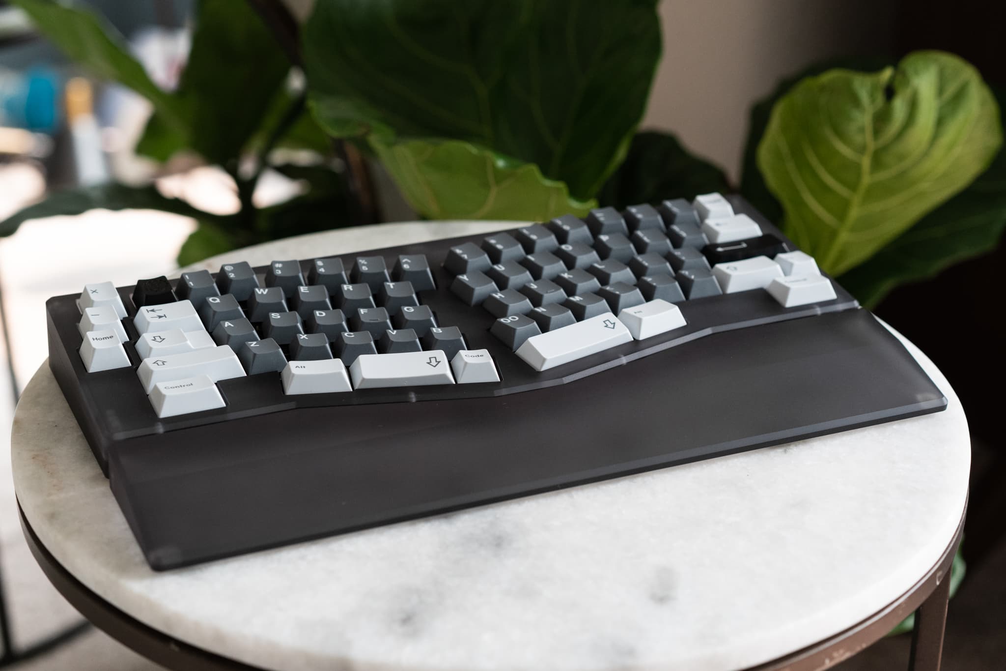 Amano - A Smoke Polycarbonate Alice image 6