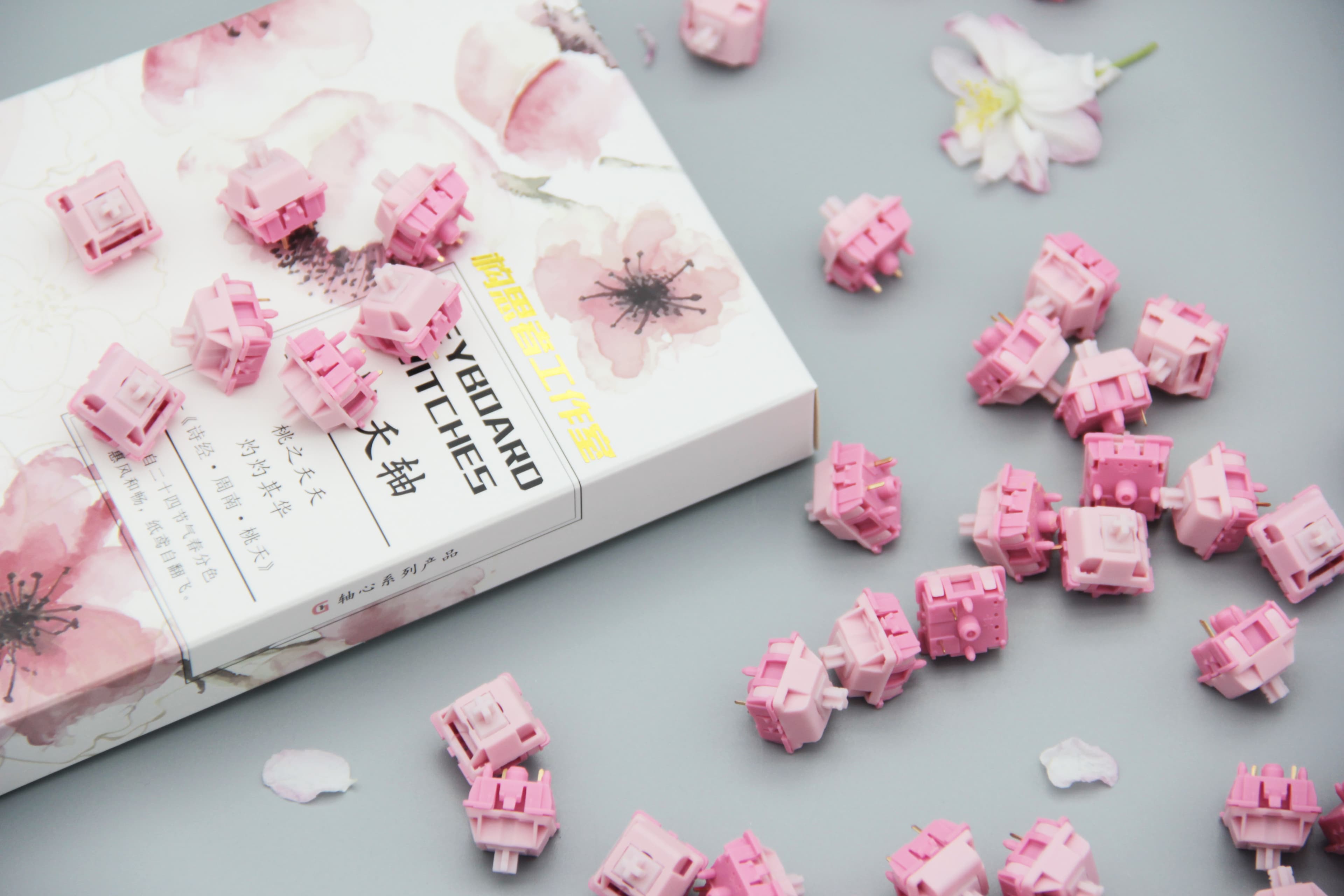 DesignerStudio TaoYao (Peach Bloom) Switches image 7