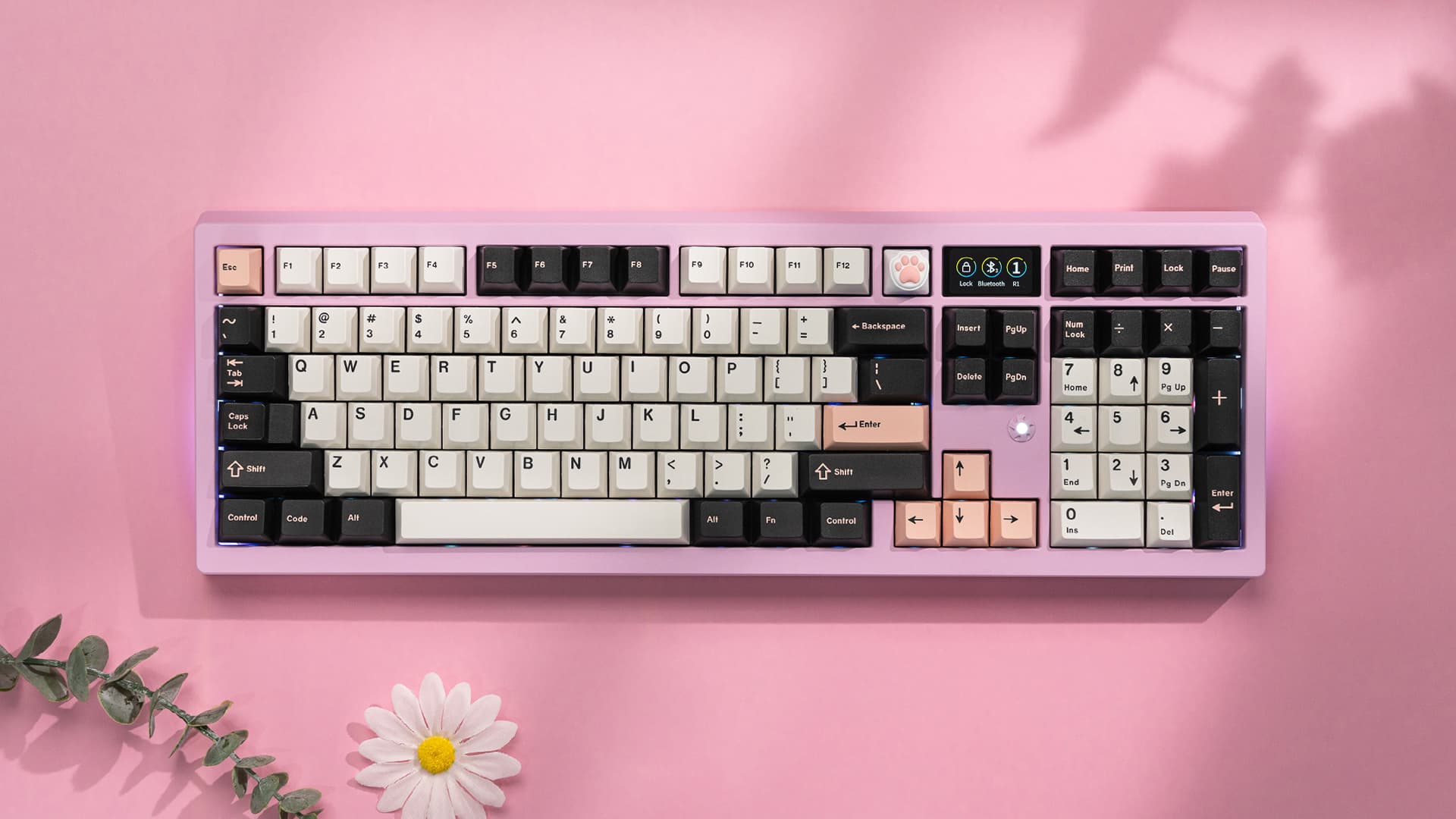 Zoom98 - GB page,Configurator,Pricing,Cosmic Odyssey Edition,GB on Oct.10 image 18