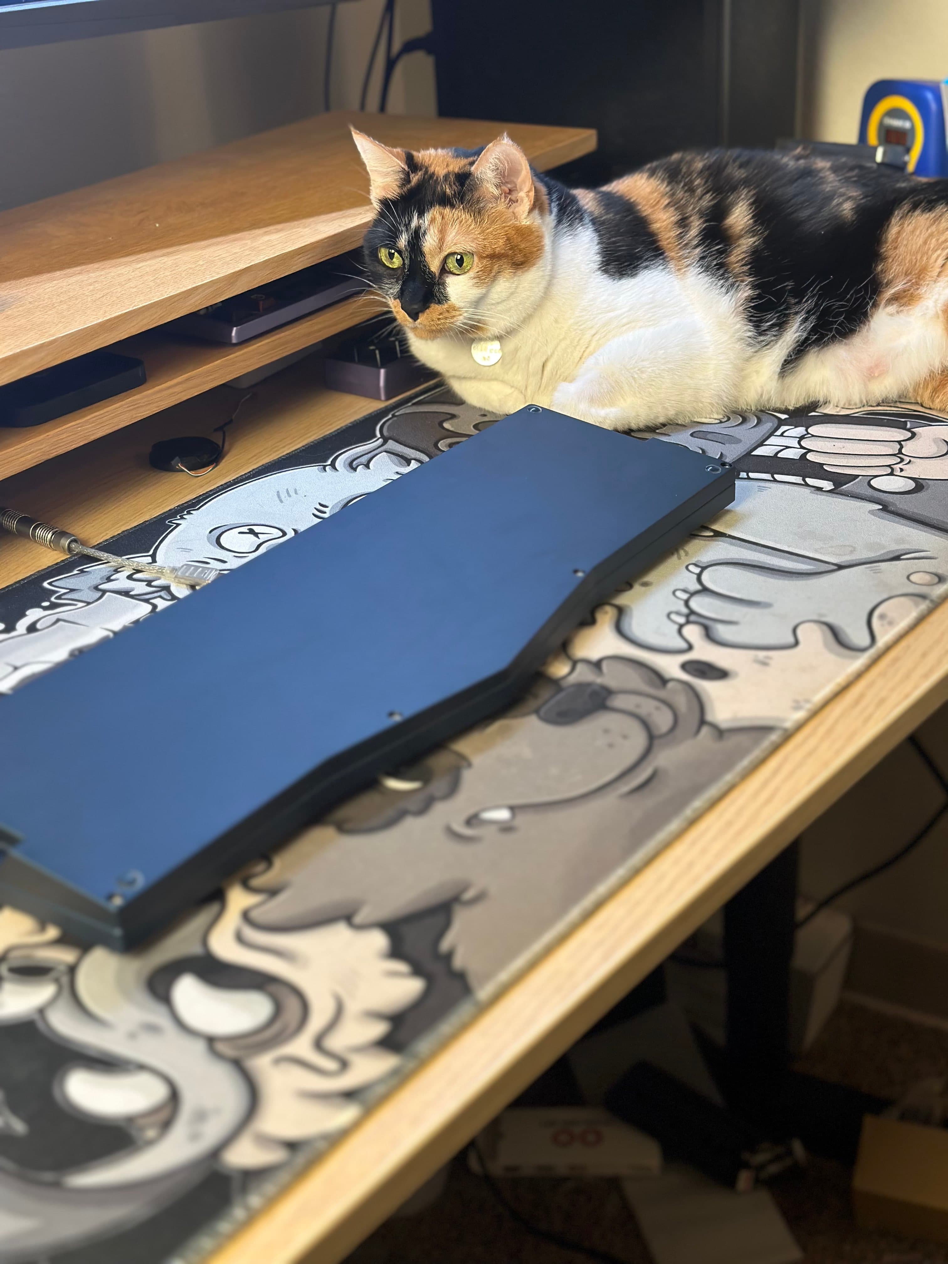 Compact Ergo - UPDATE: samples, streams, pricing, GB announcement image 4