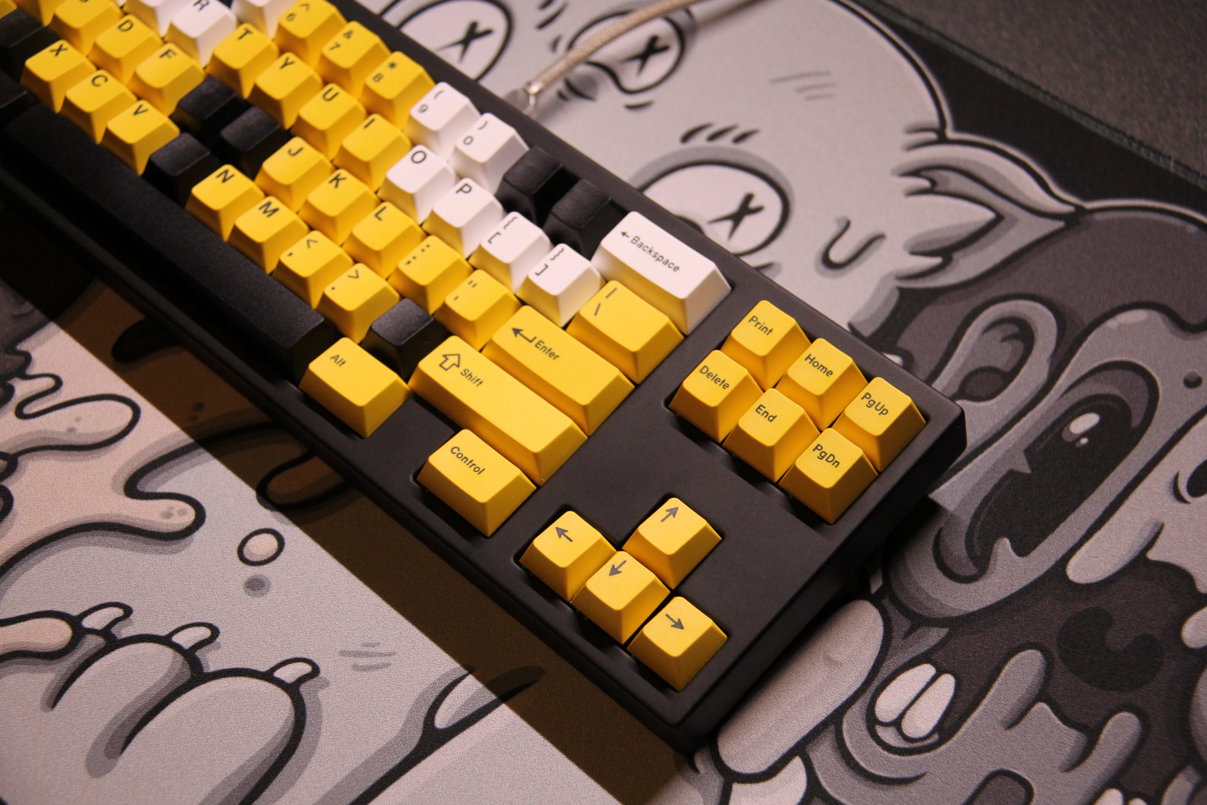 Alveus | GB Raffle Live! image 25