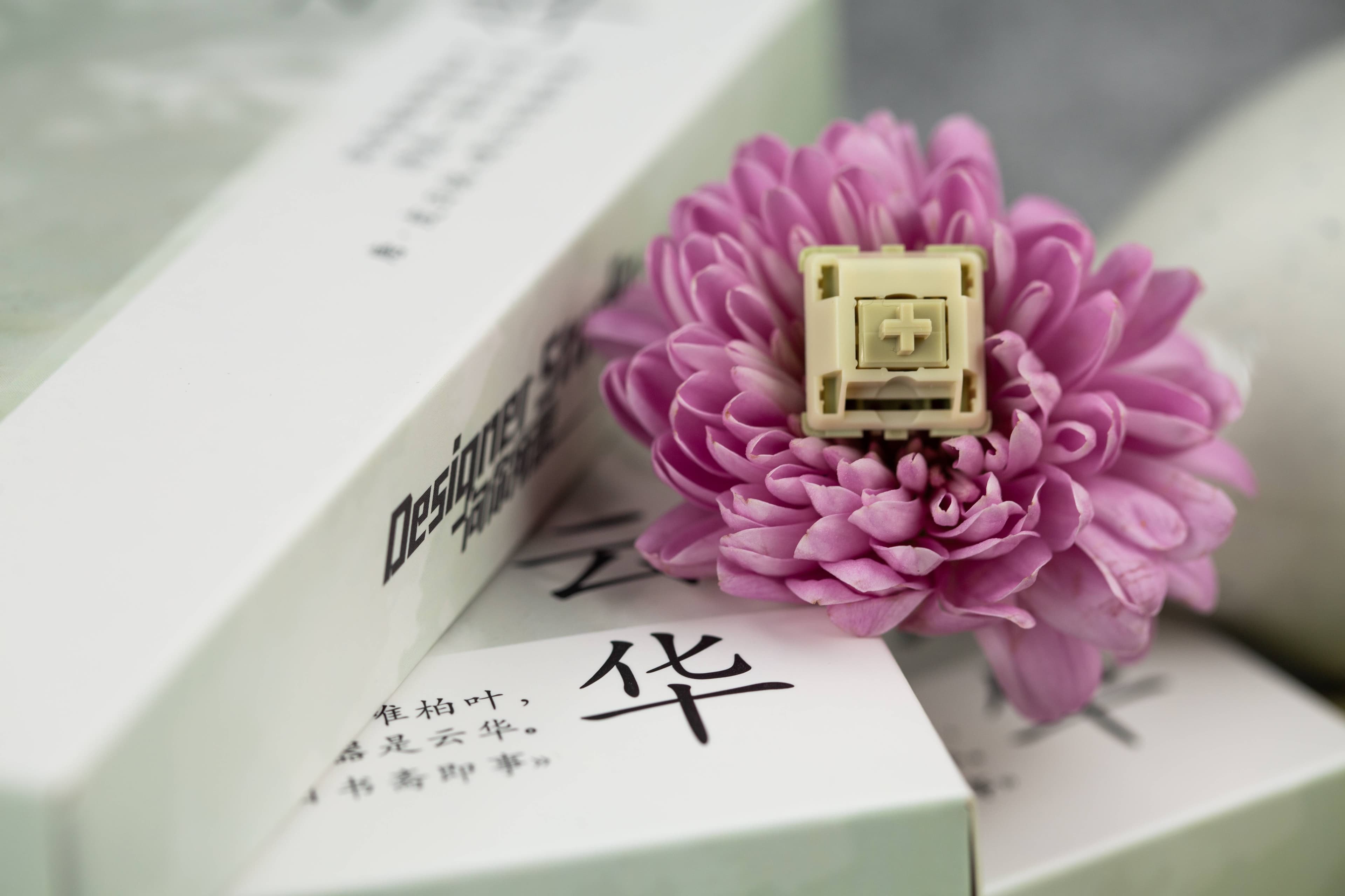 DesignerStudio Yunhua (Cloud Tea) Switches image 6