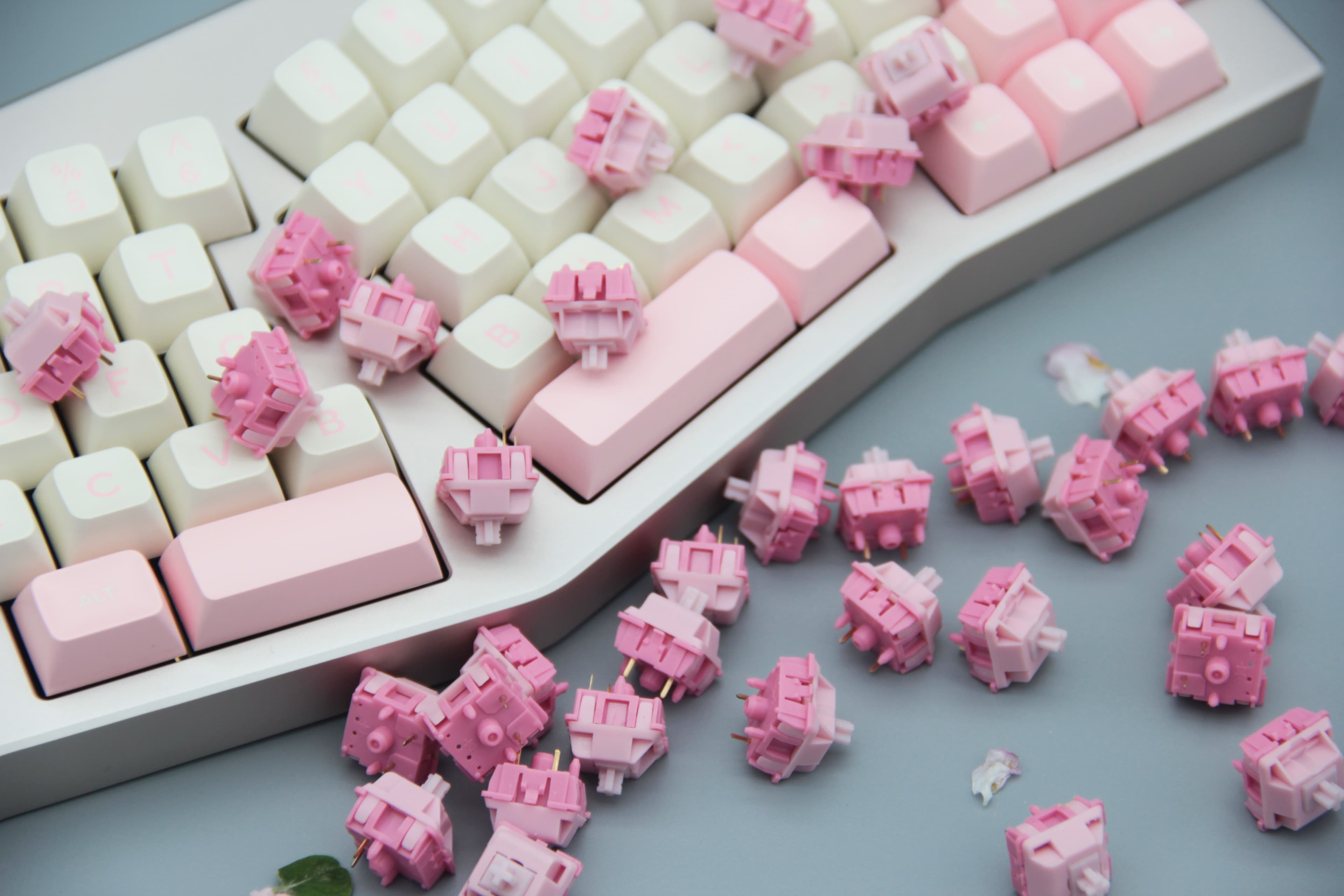 DesignerStudio TaoYao (Peach Bloom) Switches image 8