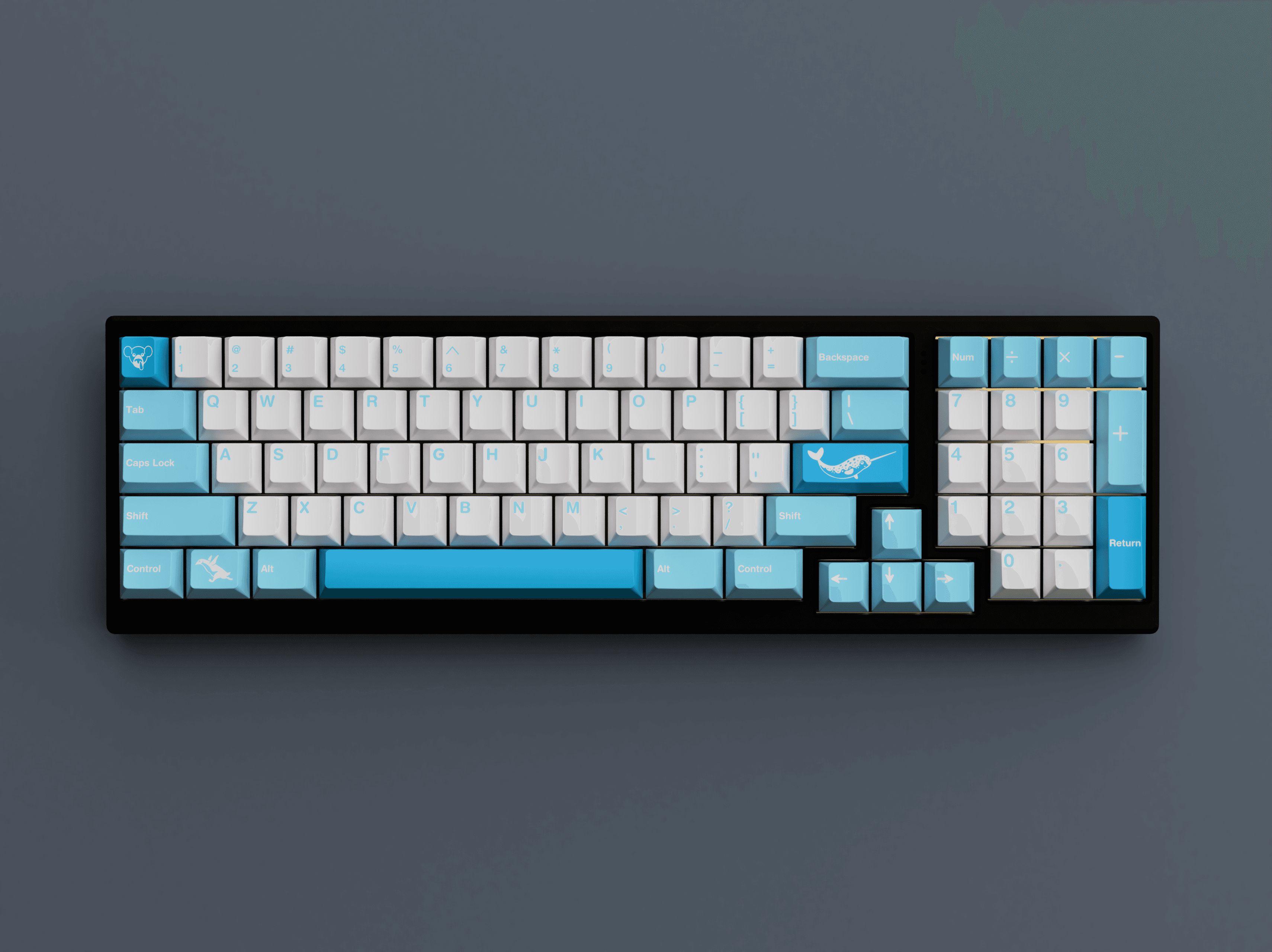 GMK Polar image 15