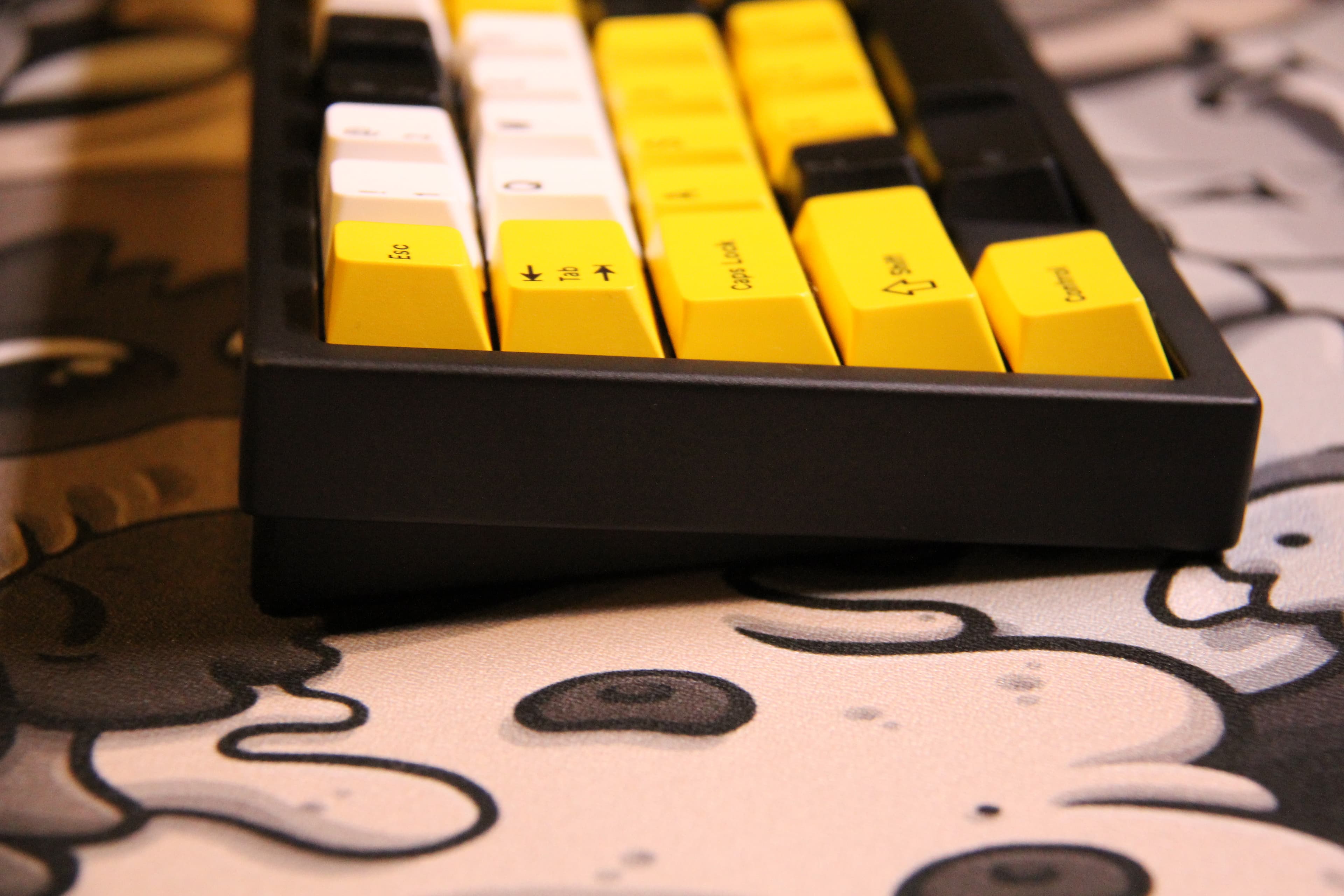 Alveus | GB Raffle Live! image 29