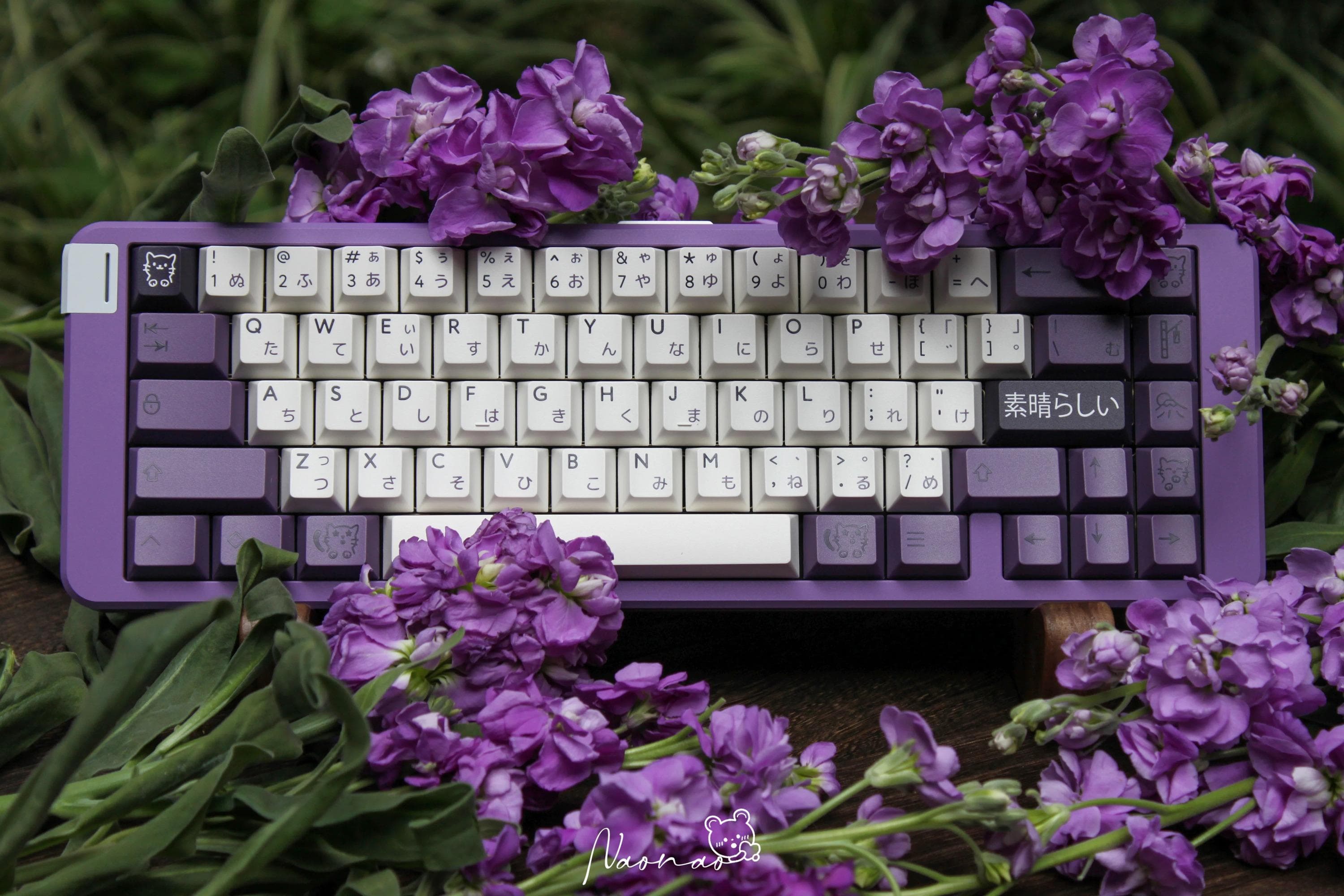 PBTfans Subarashī(NOW LIVE!) image 4