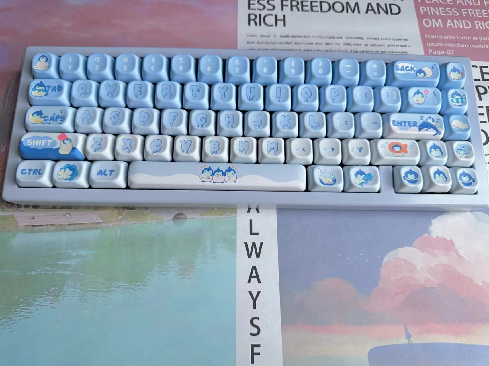 Customize Keyboard - TMGC65 Pet-Element Keyboard image 5