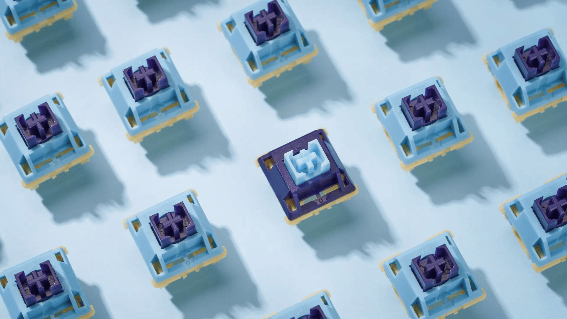 WS Stellar | Group Buy on 18th of April! image 18