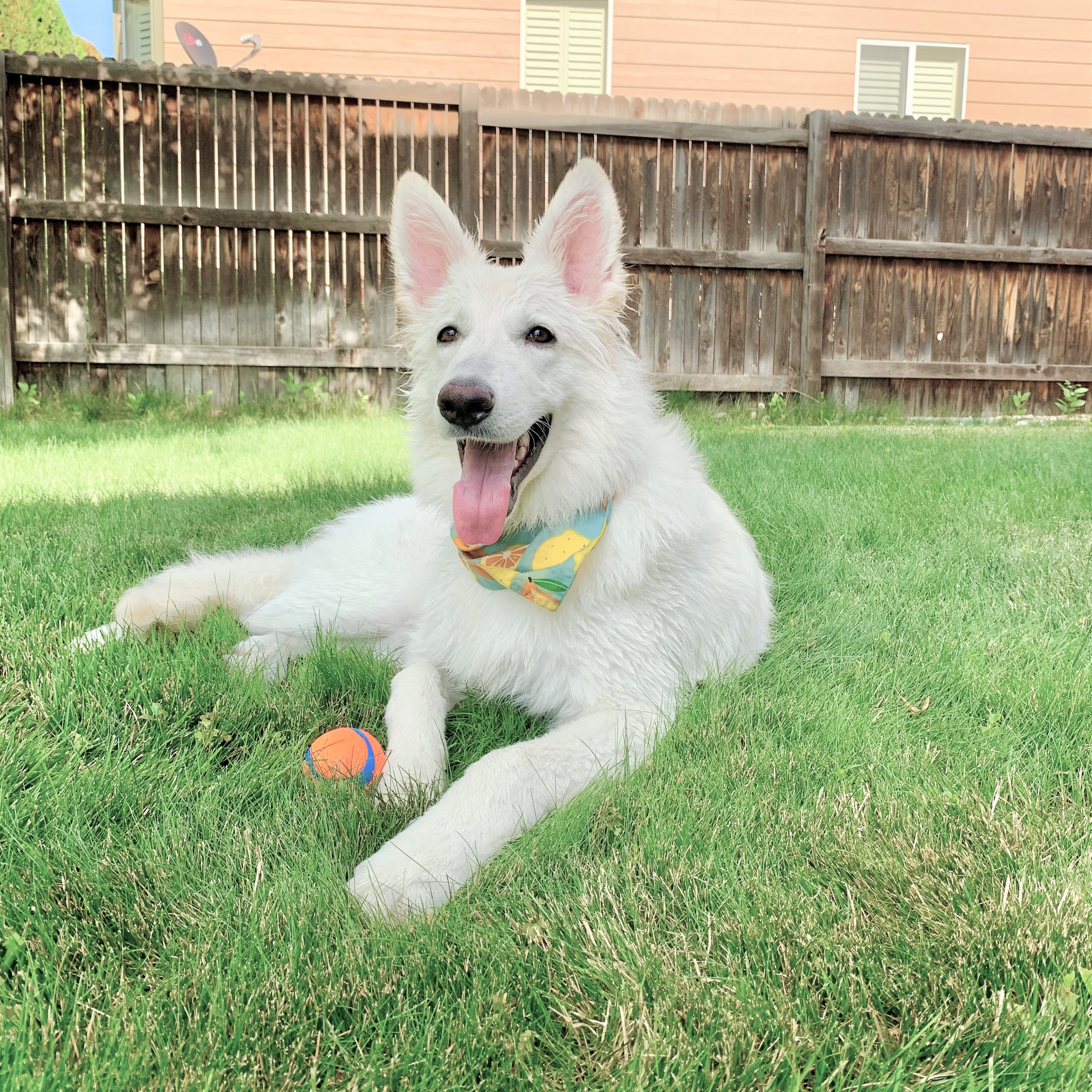 GMK SOPHIE | More Renders (04/08/2022) image 2