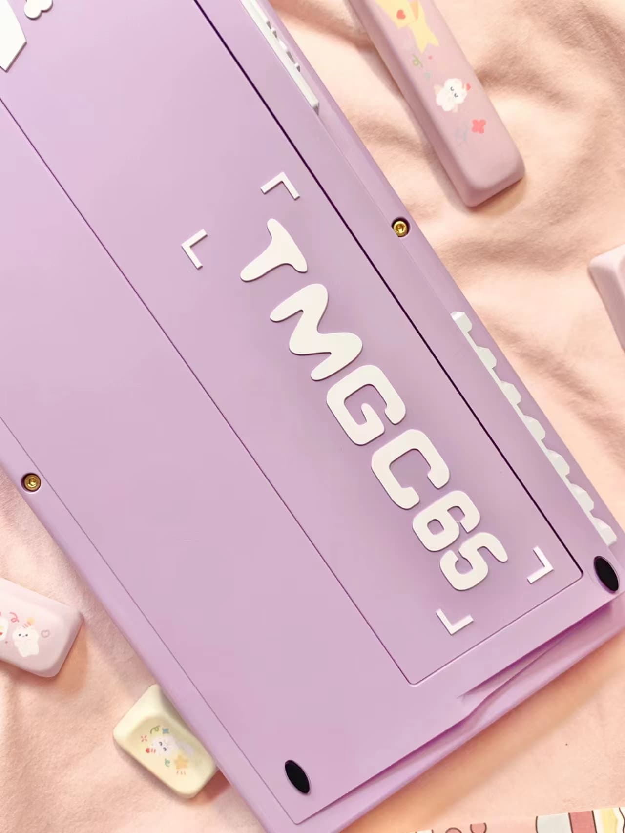 Customize Keyboard - TMGC65 Pet-Element Keyboard image 15