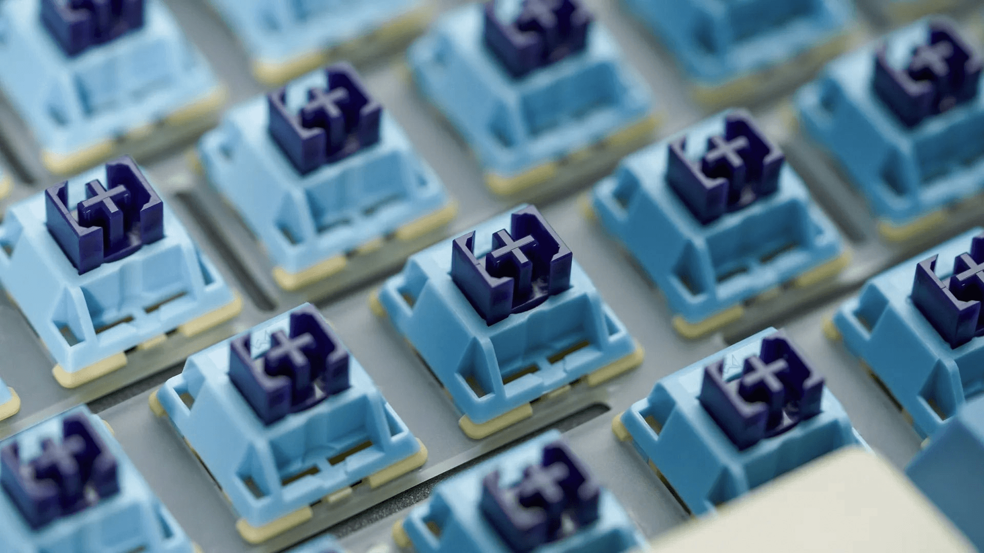 WS Stellar | Group Buy on 18th of April! image 19