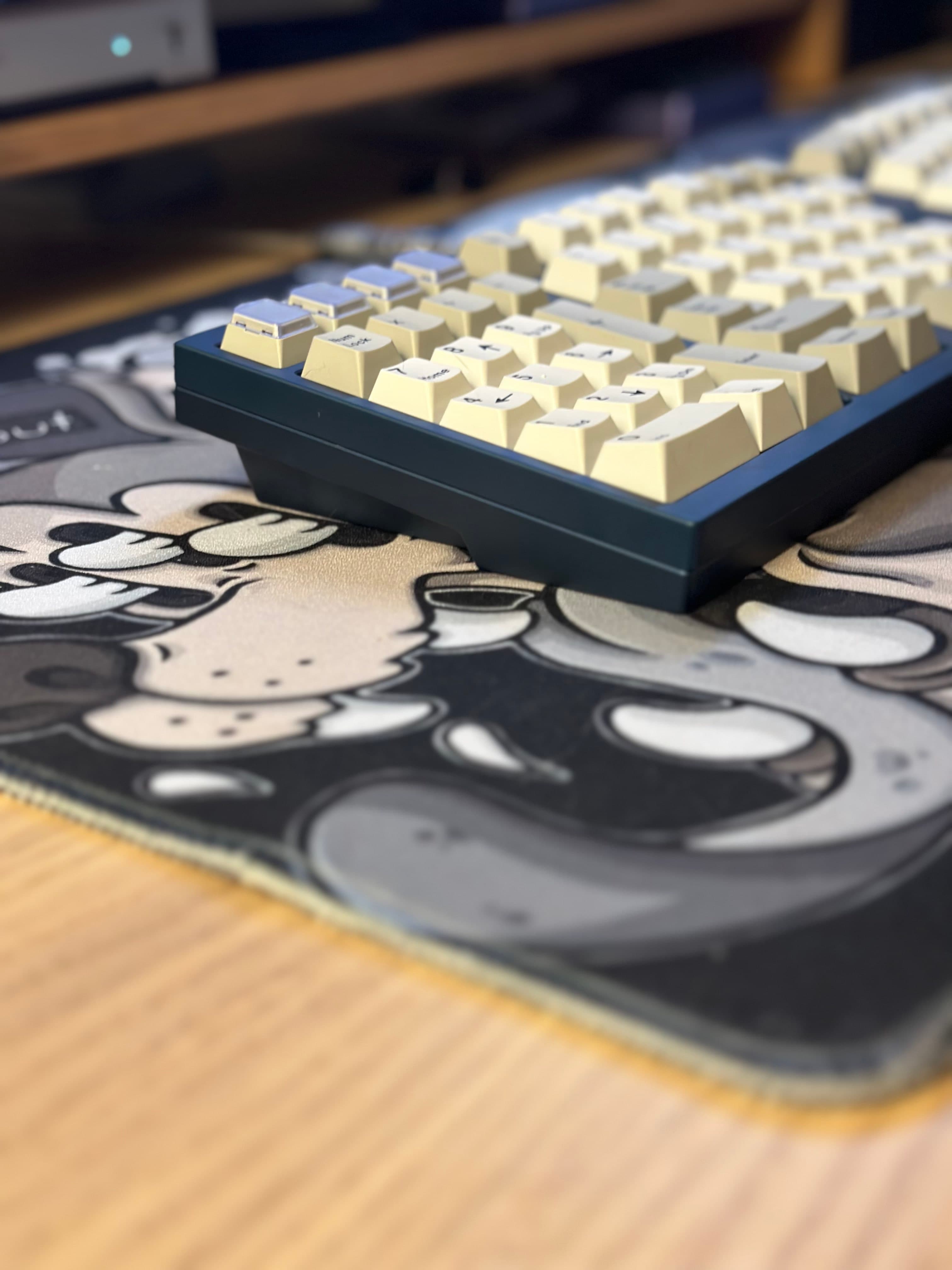 Compact Ergo - UPDATE: samples, streams, pricing, GB announcement image 3