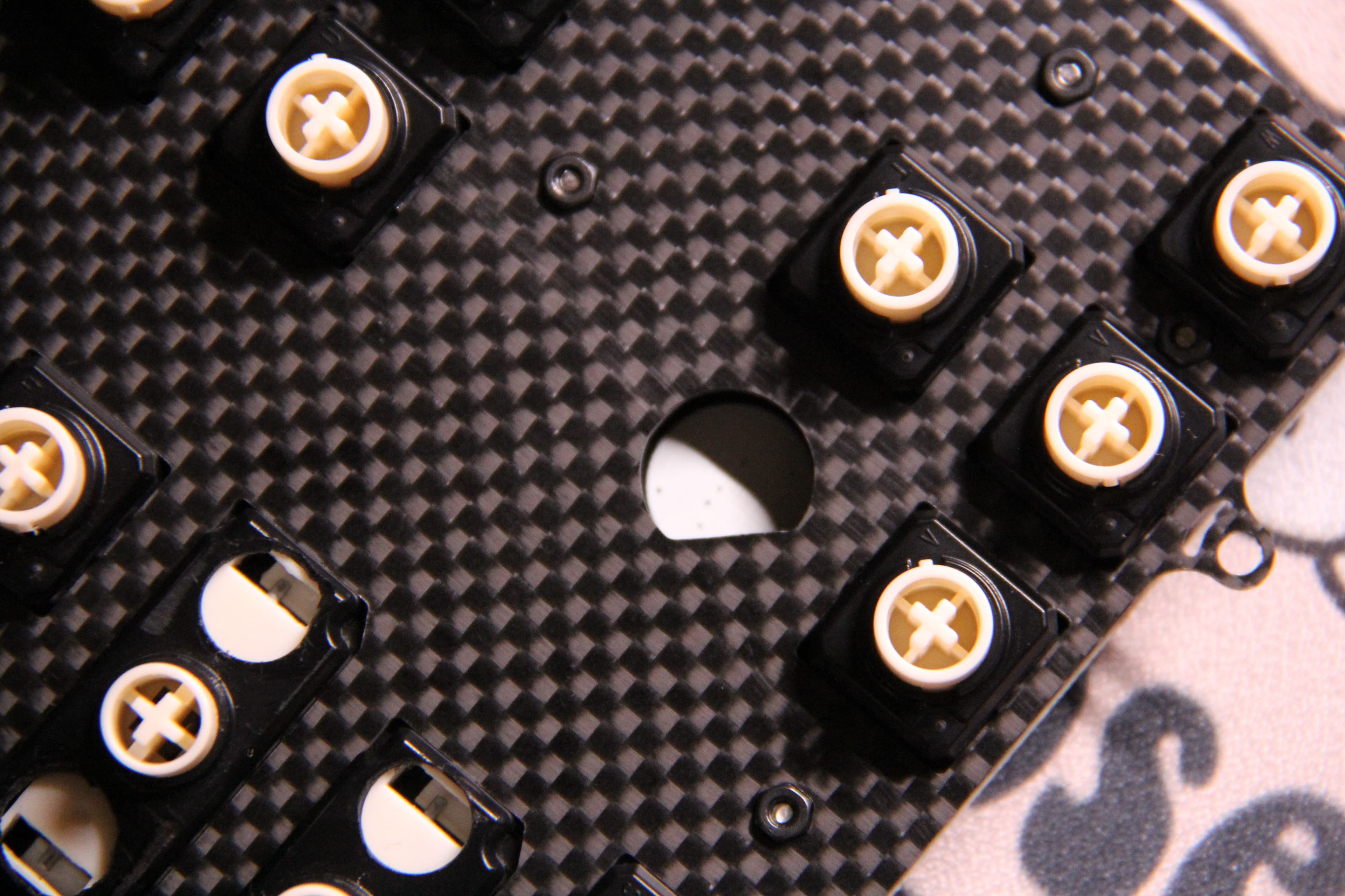 Alveus | GB Raffle Live! image 17