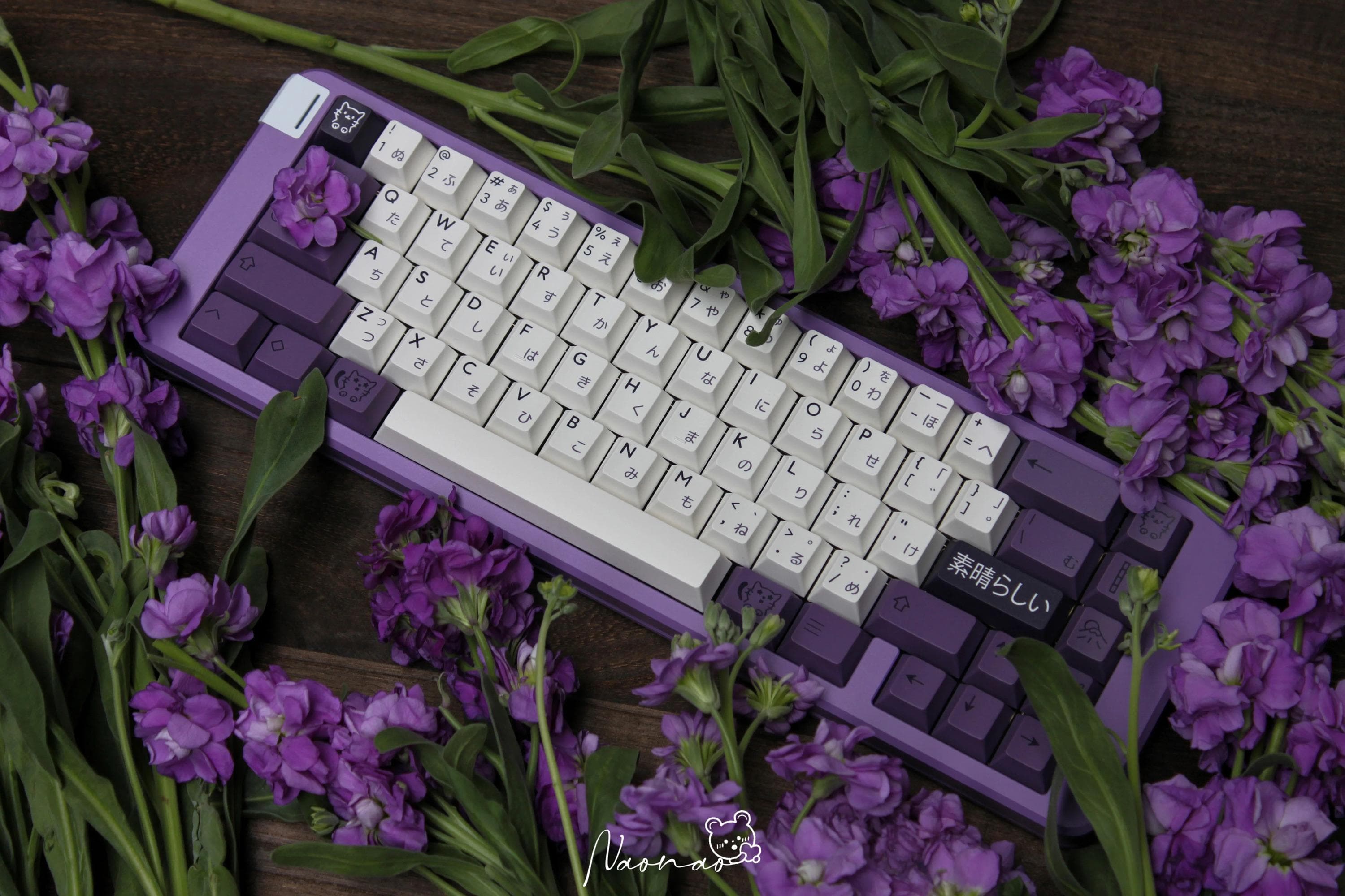 PBTfans Subarashī(NOW LIVE!) image 2