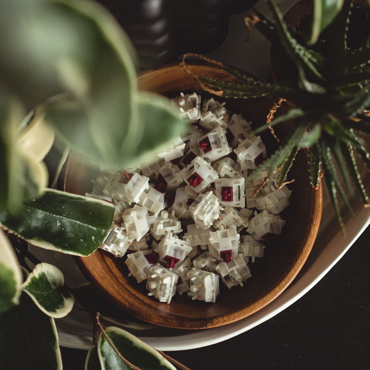 IV Kanketsu - Live March 4 - April 4! image 10