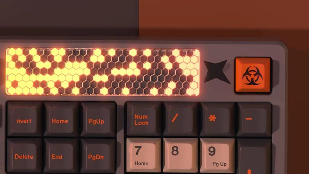 bob.x-ray.1xx Dual mode102 image 18