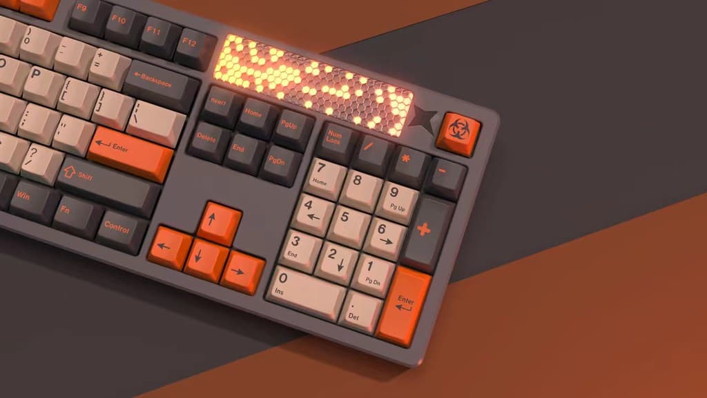 bob.x-ray.1xx Dual mode102 image 17