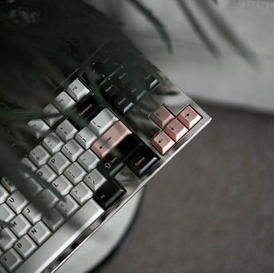 Serratus by Keynergy image 29