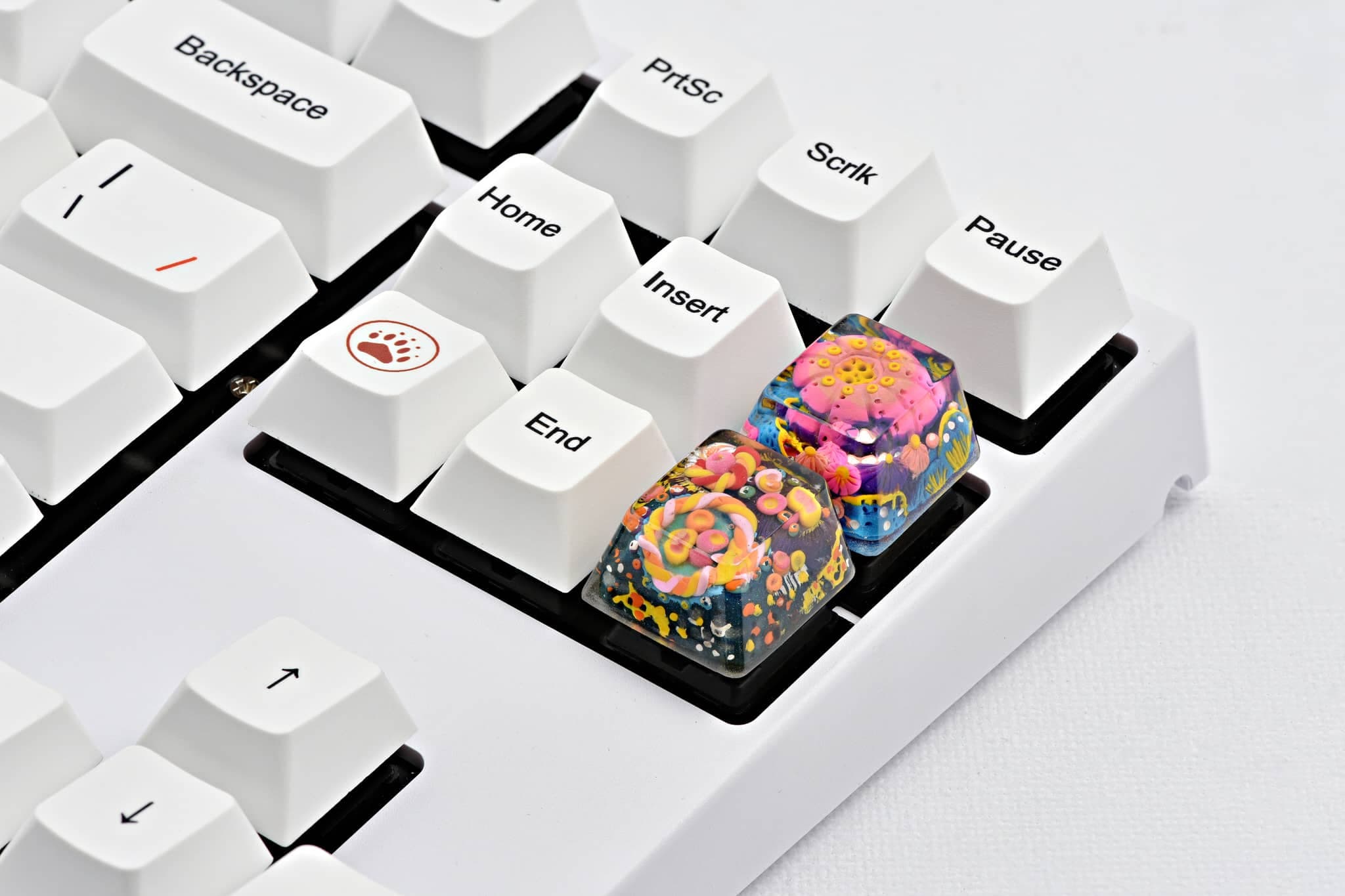 JELLY KEY - Atlantis Coral artisan keycaps collection image 2